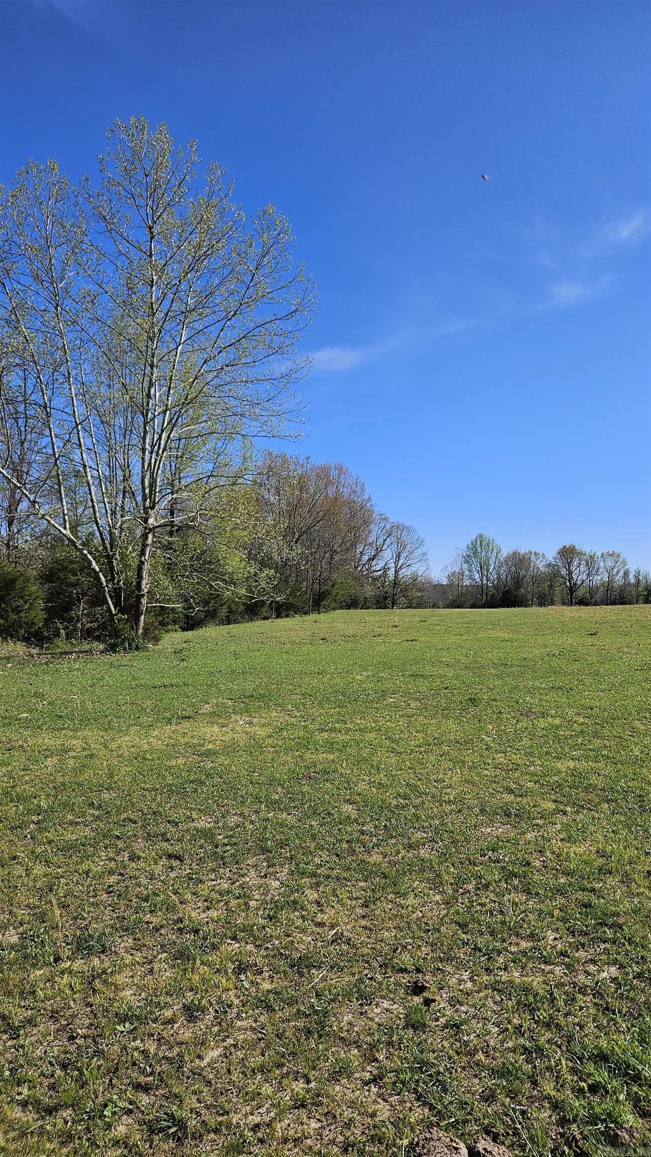 1075 County Road 417 Property Photo 3