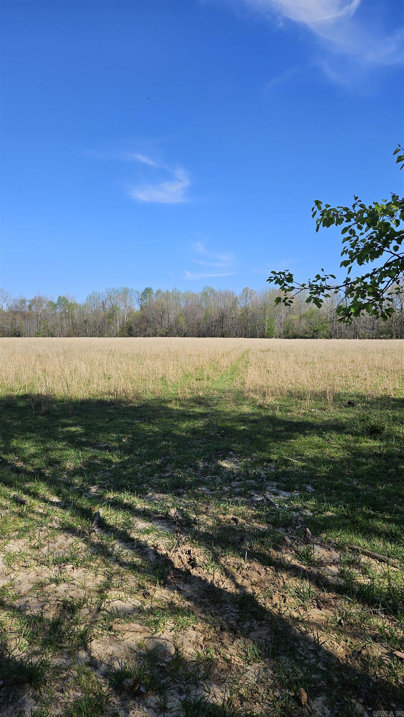 1075 County Road 417 Property Photo 4