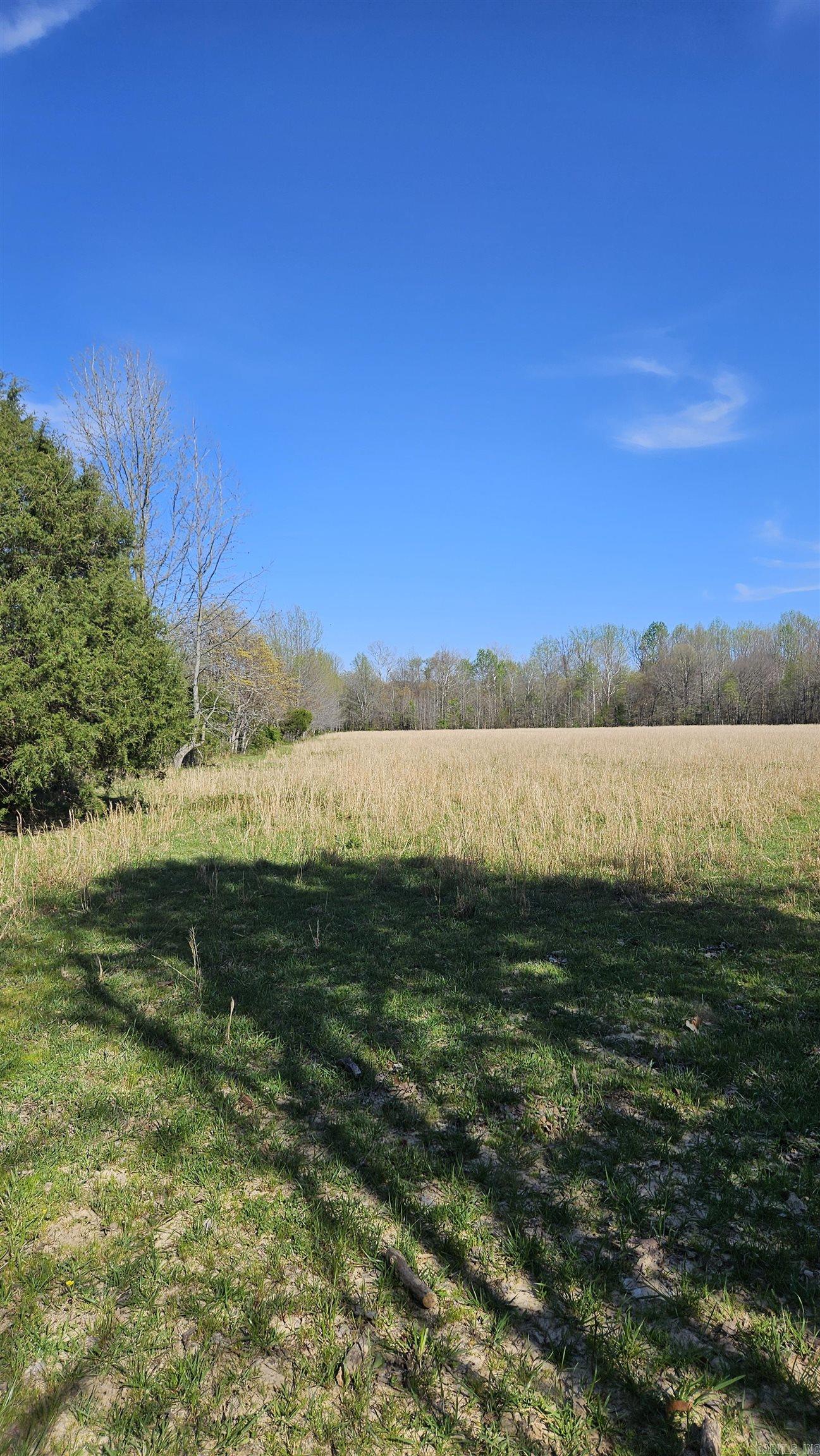1075 County Road 417 Property Photo 5