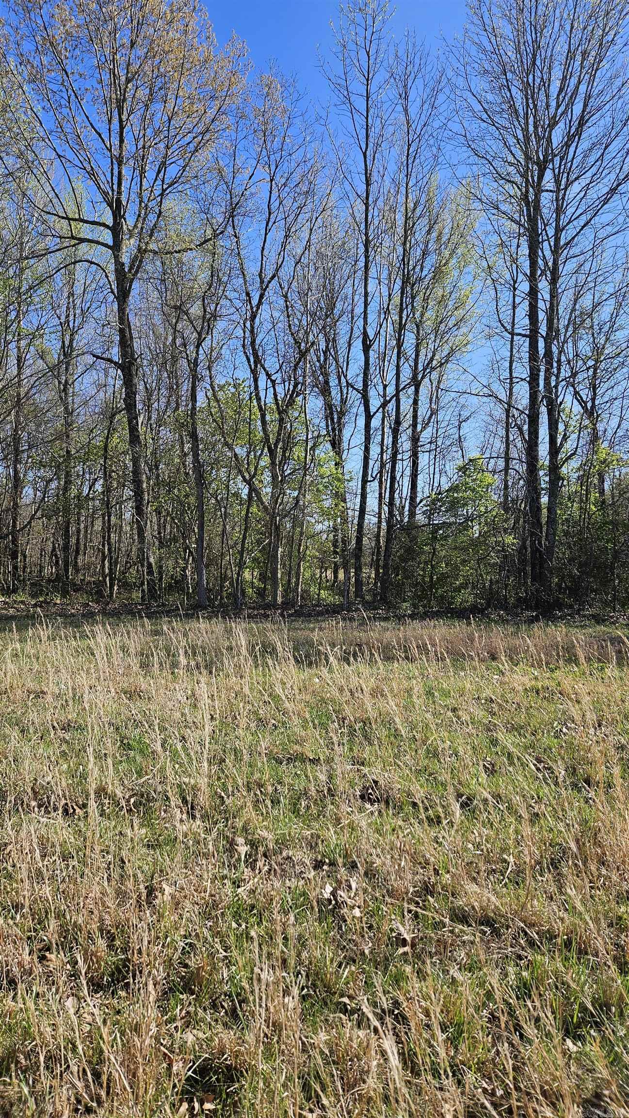 1075 County Road 417 Property Photo 6