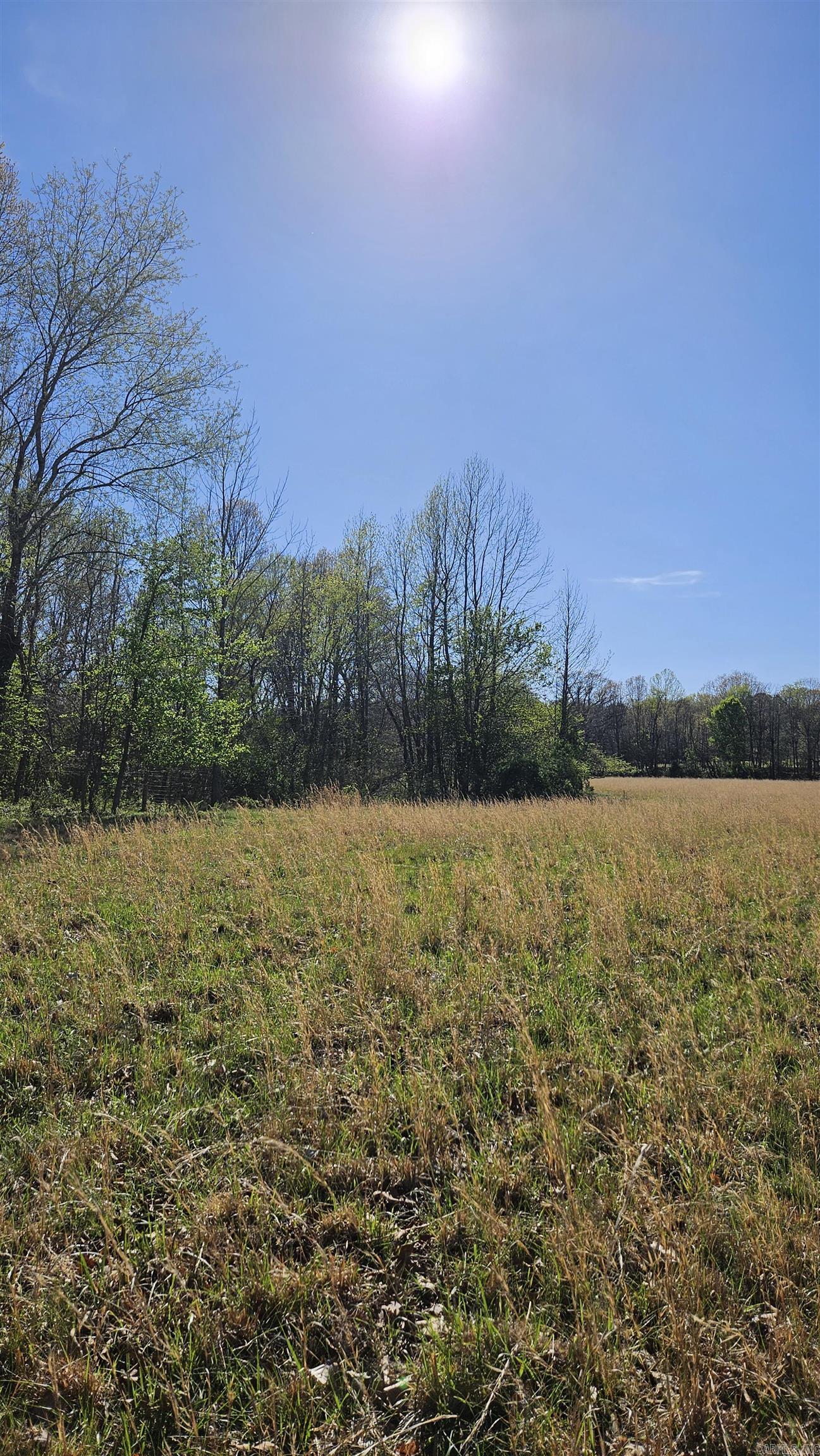 1075 County Road 417 Property Photo 7