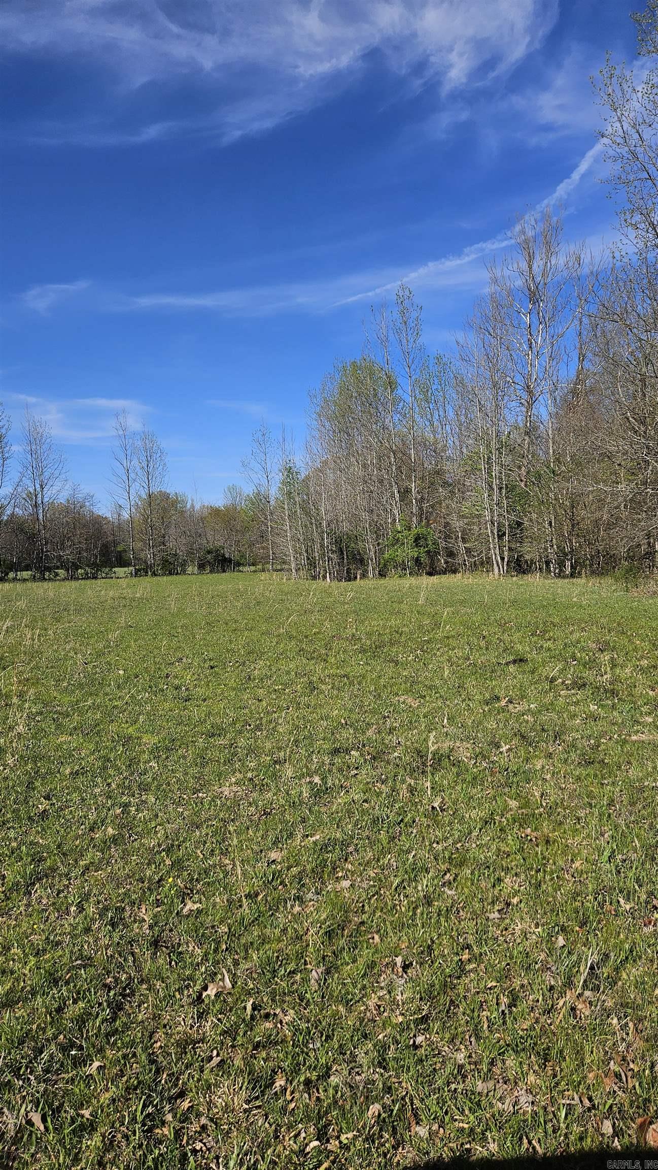 1075 County Road 417 Property Photo 8