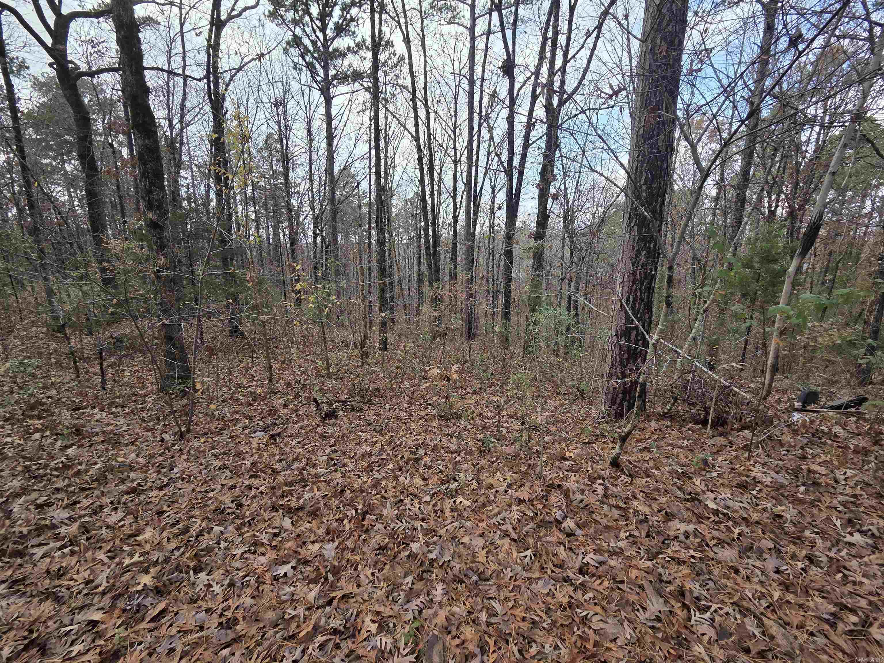 781 Sawmill Road Property Photo 35