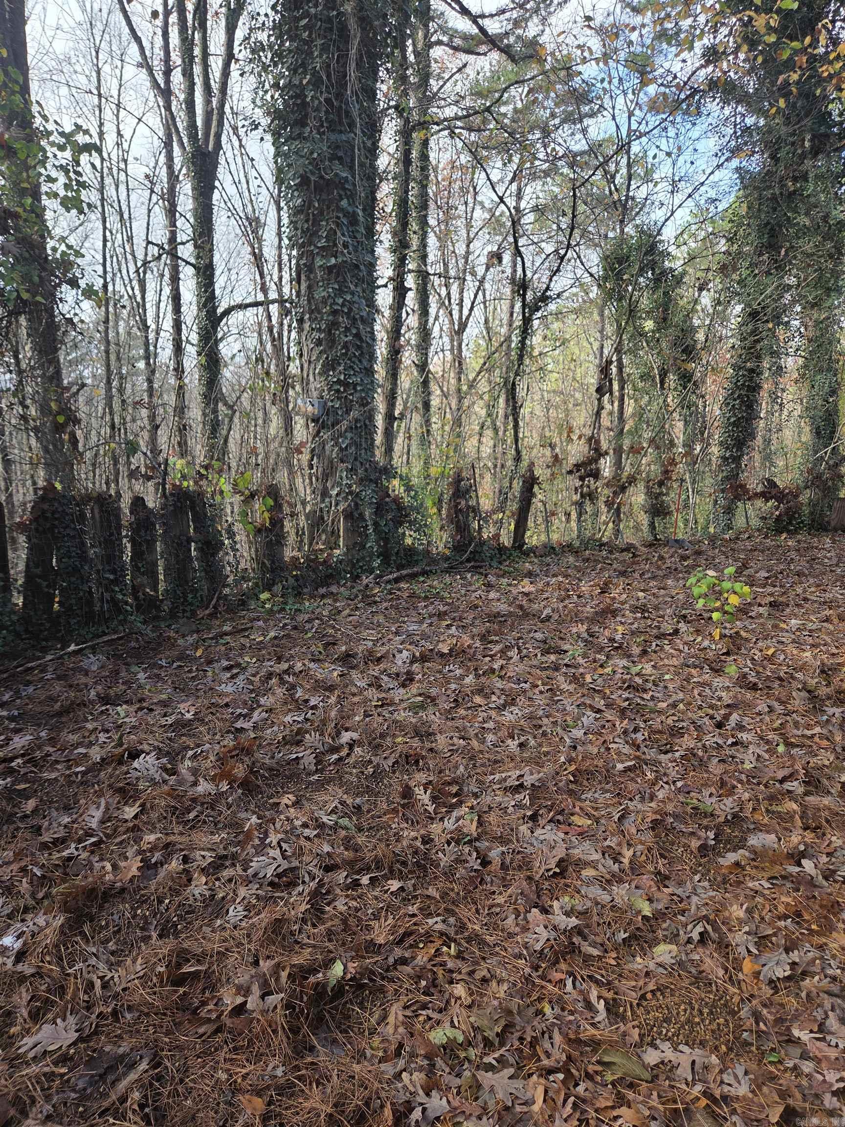 781 Sawmill Road Property Photo 37