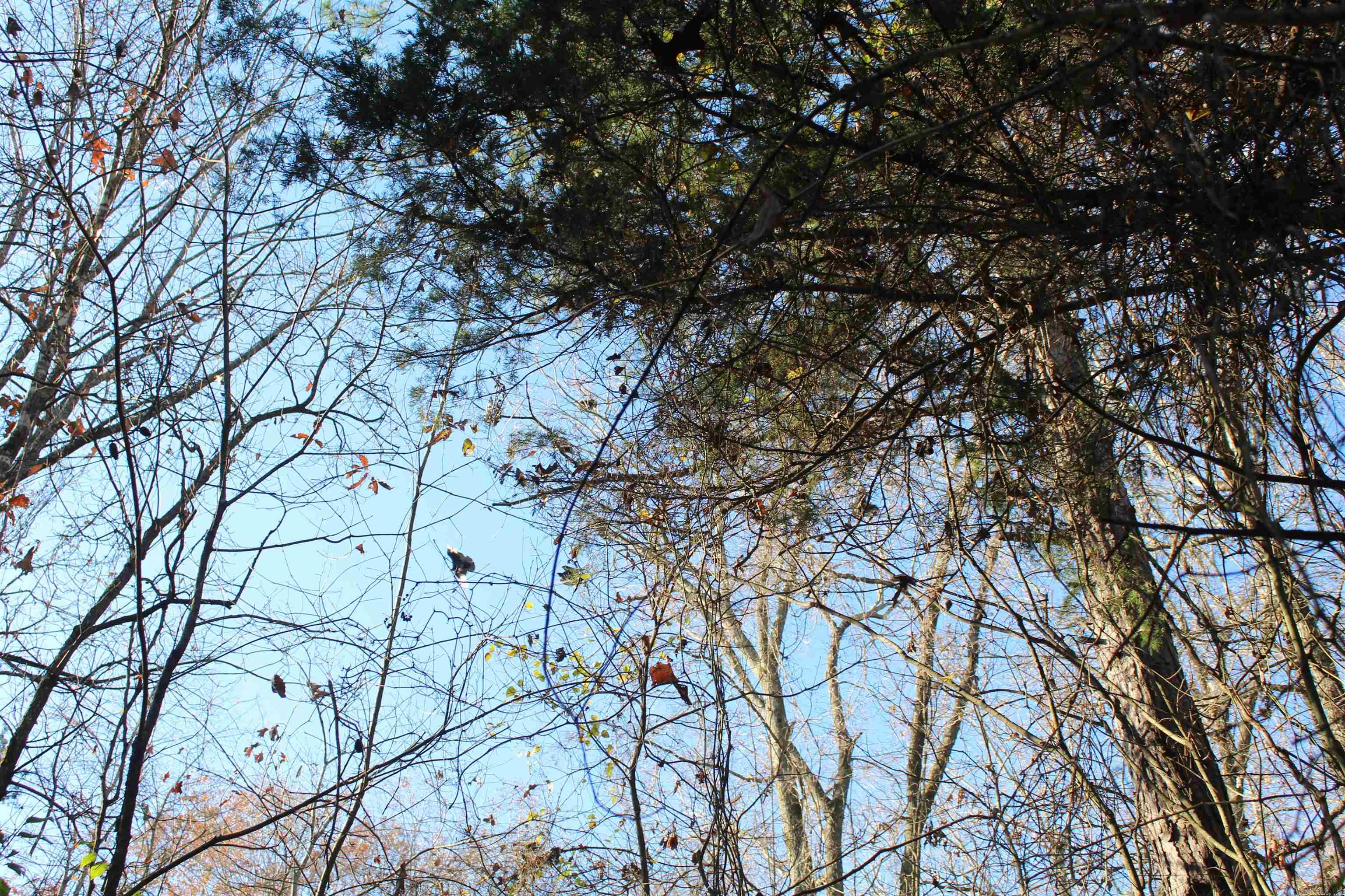 001-04740-000 Mc 5045 Property Photo 3