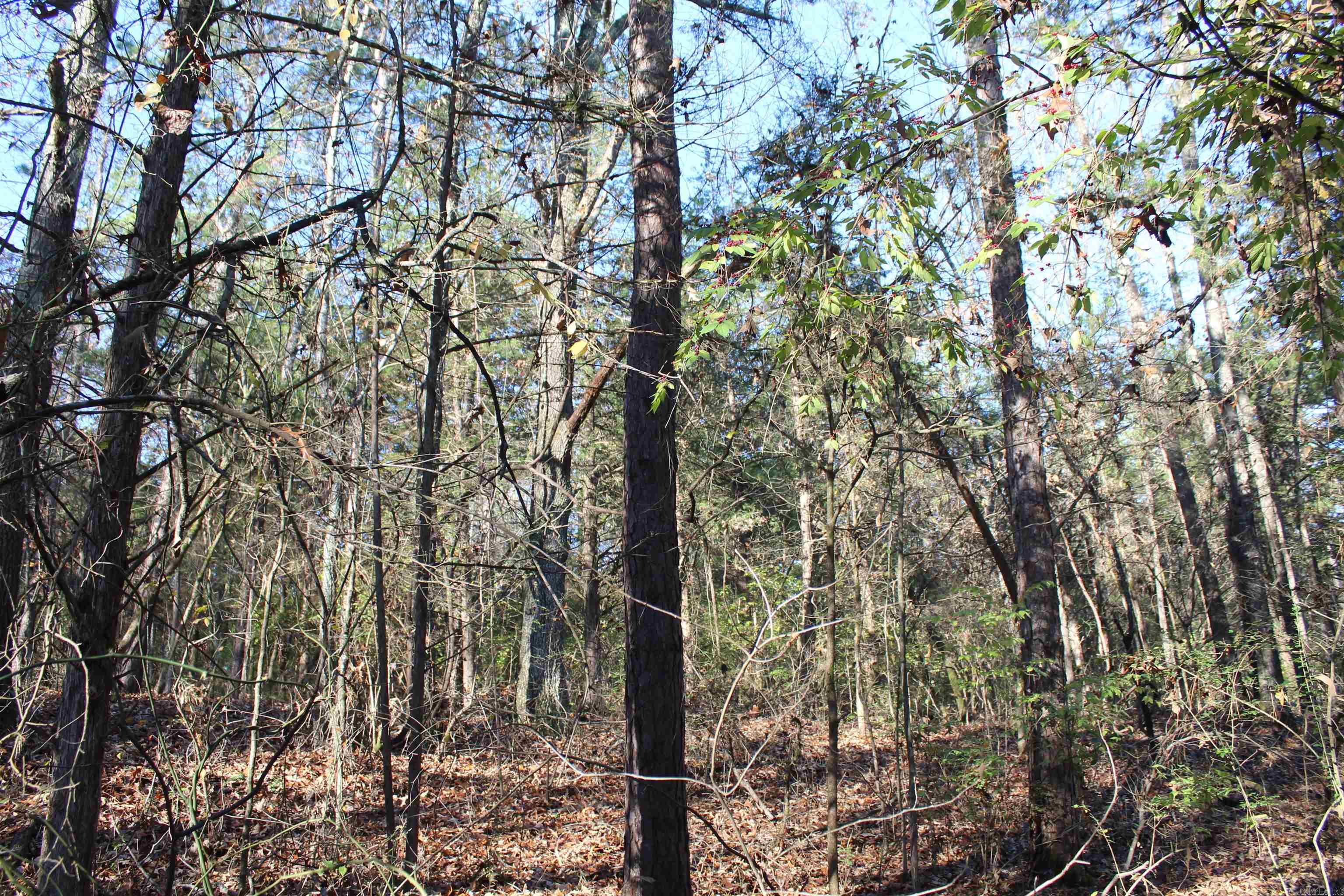 001-04740-000 Mc 5045 Property Photo 6