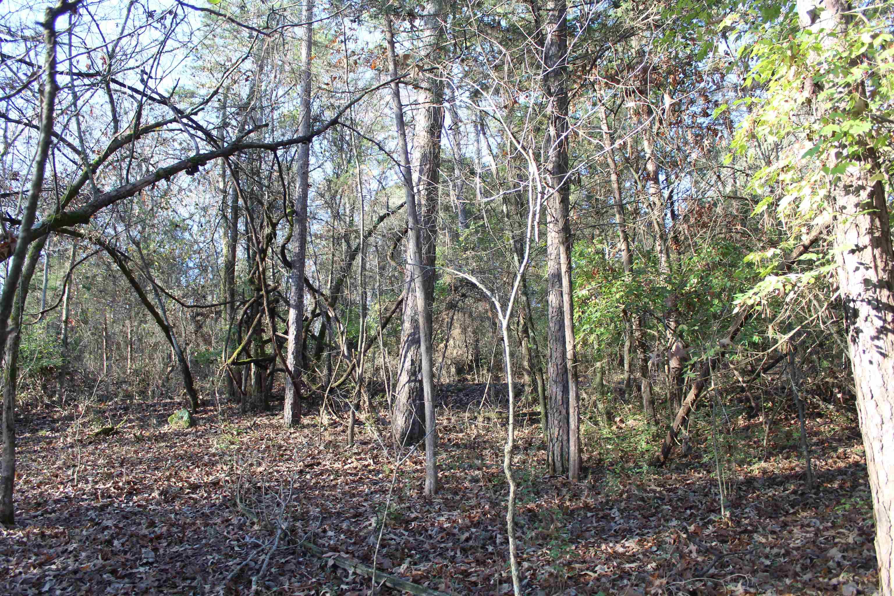 001-04740-000 Mc 5045 Property Photo 10