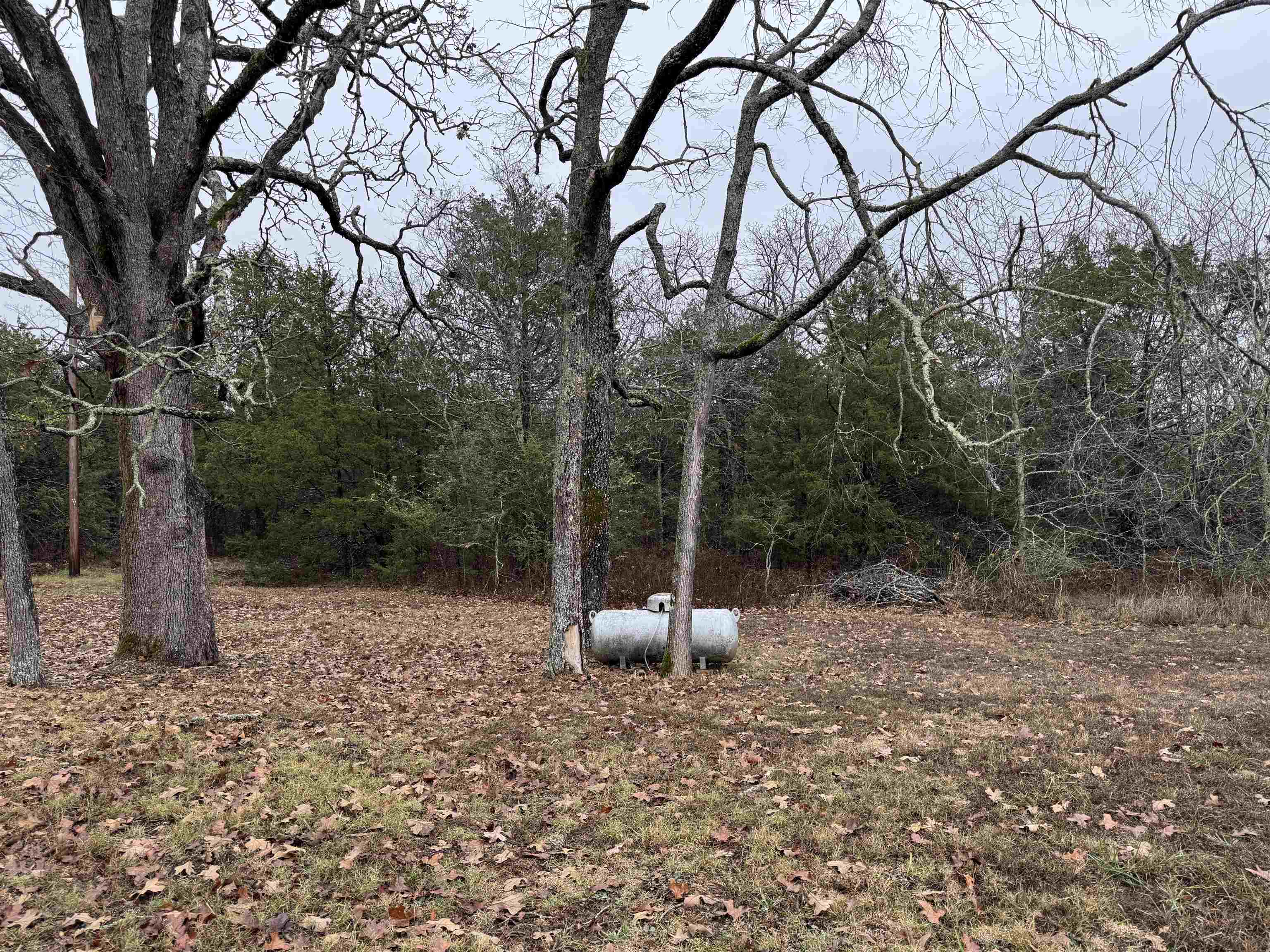 410 N Cheyenne Drive Property Photo 5
