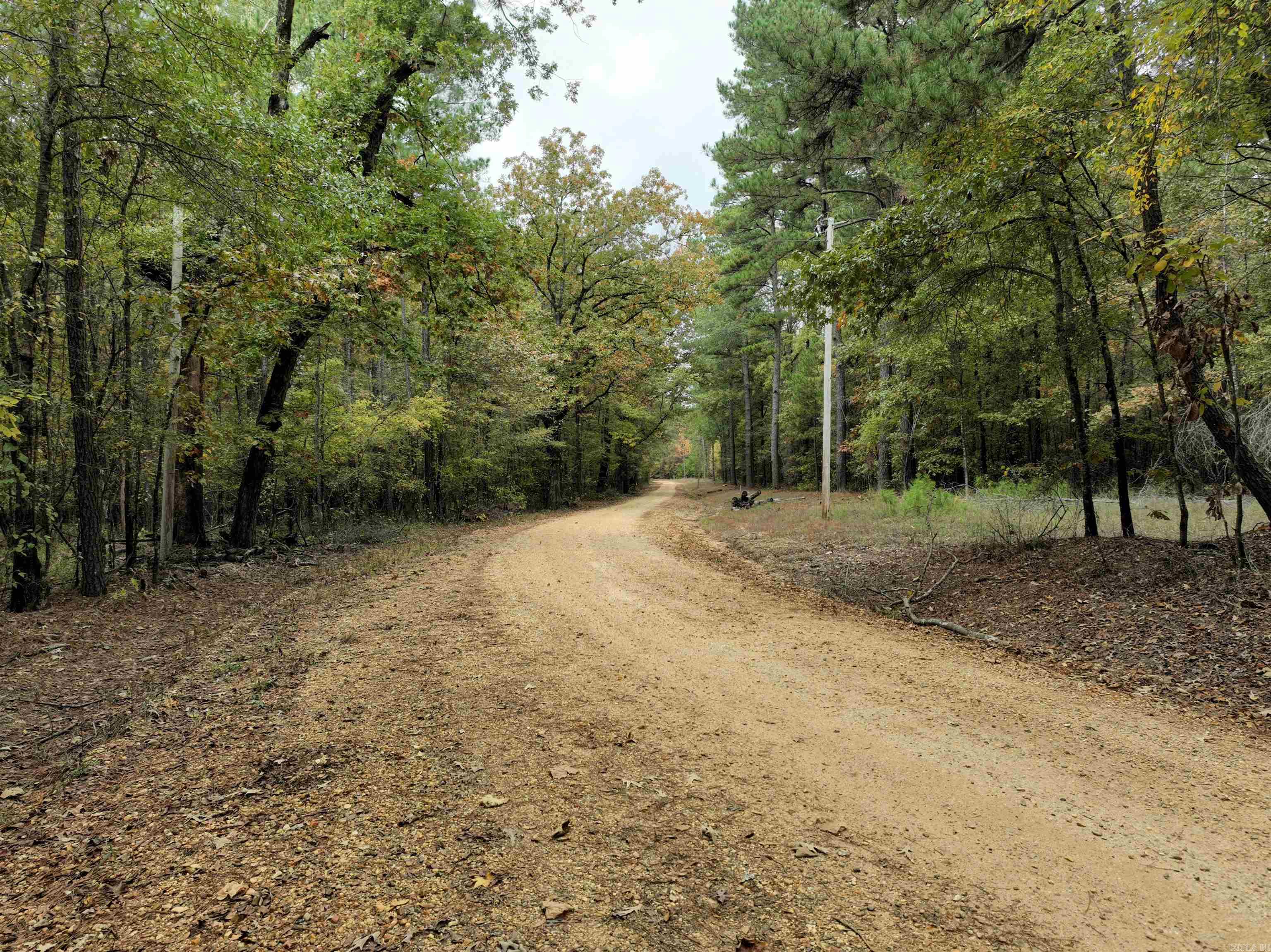 000 81 Road Property Photo 10