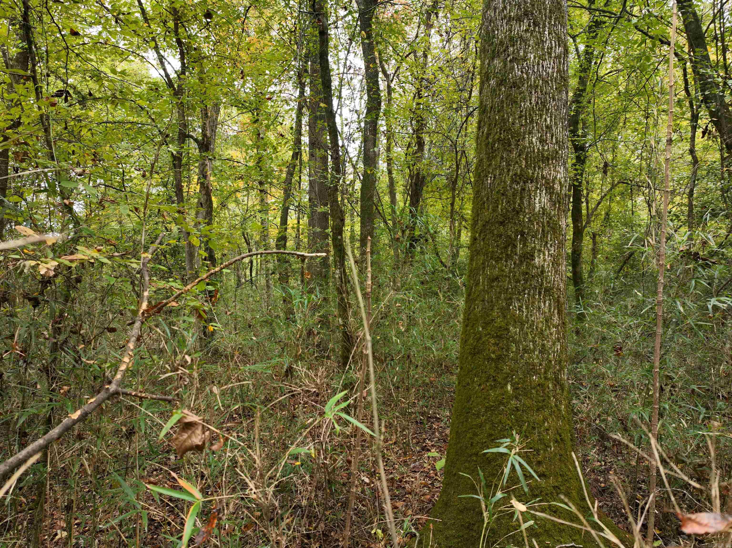 000 81 Road Property Photo 11