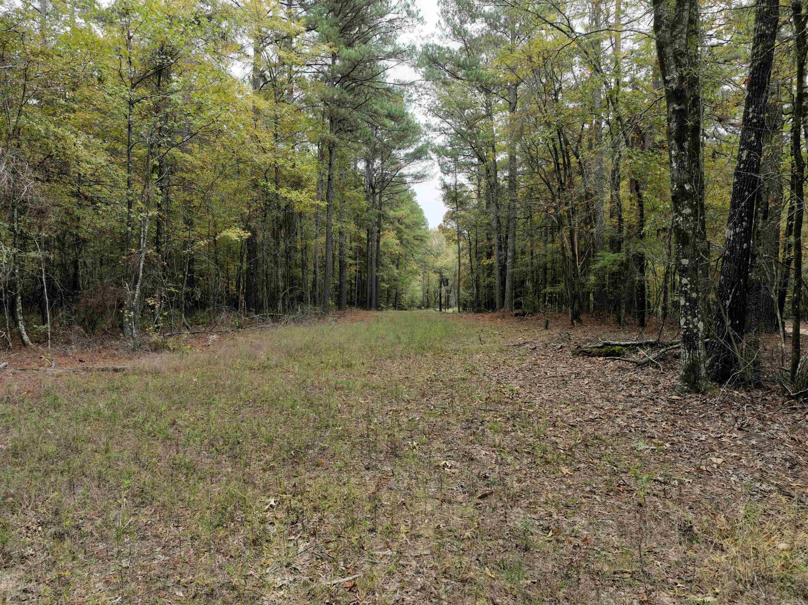 000 81 Road Property Photo 12