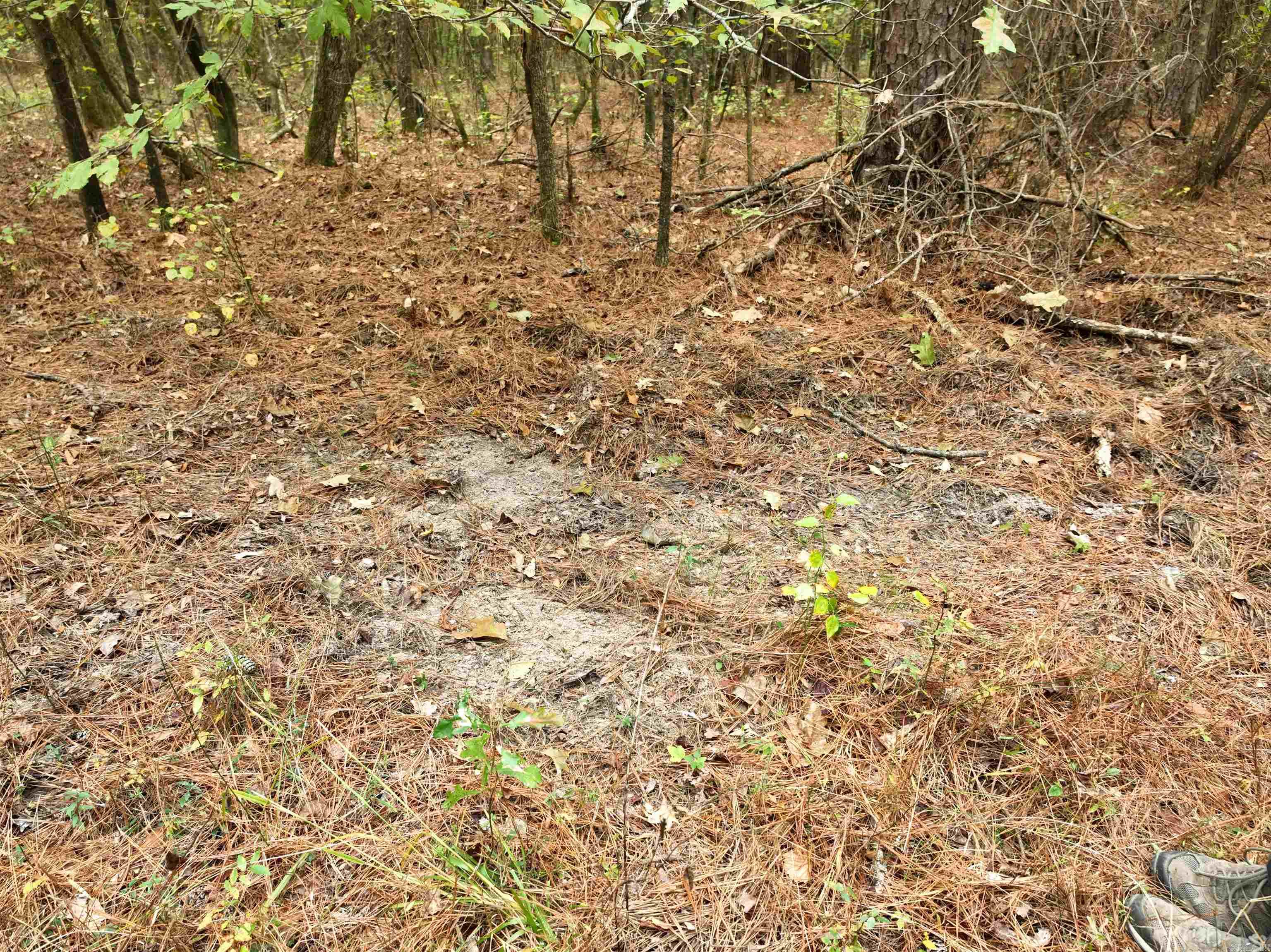 000 81 Road Property Photo 14