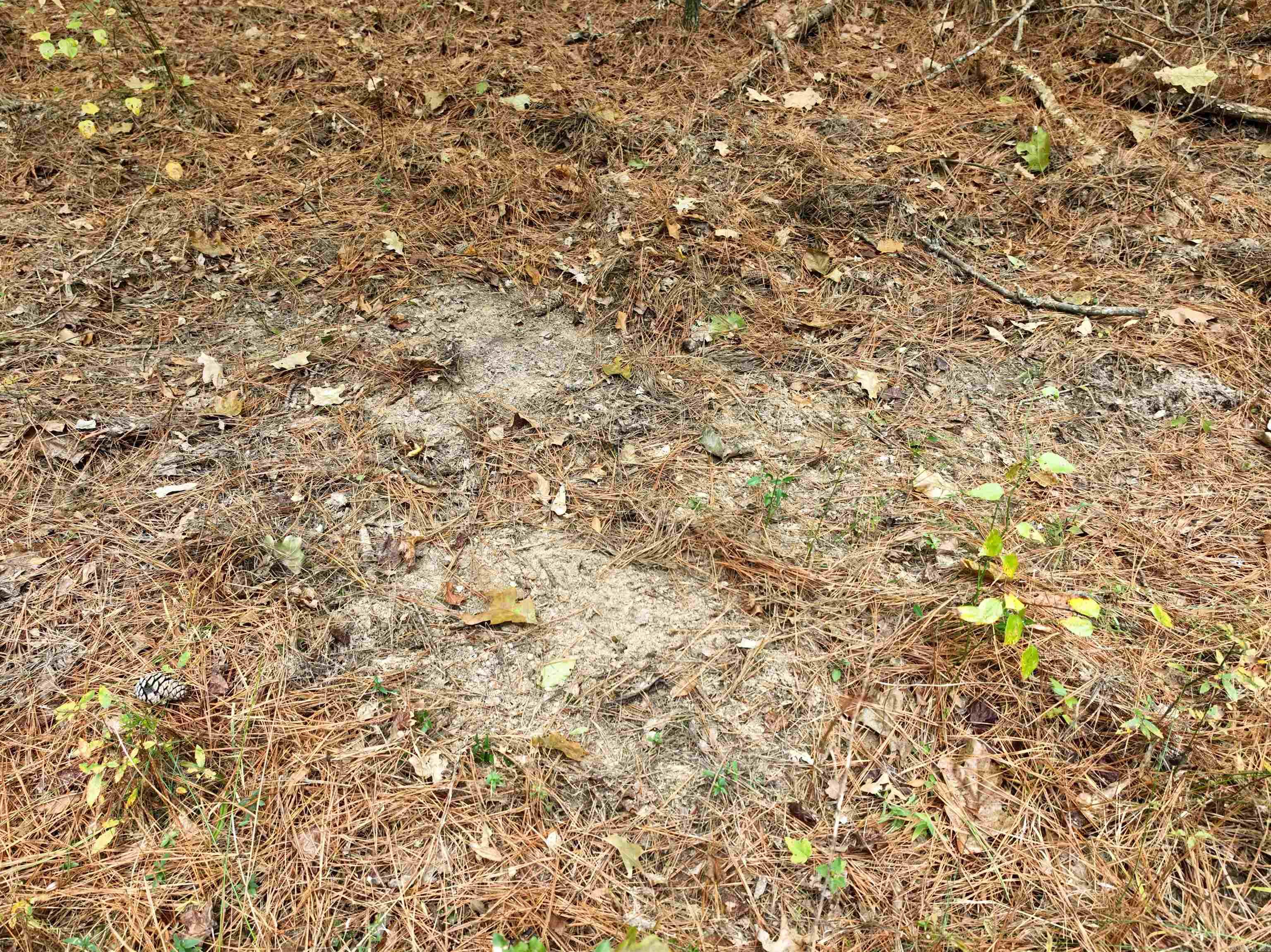 000 81 Road Property Photo 17