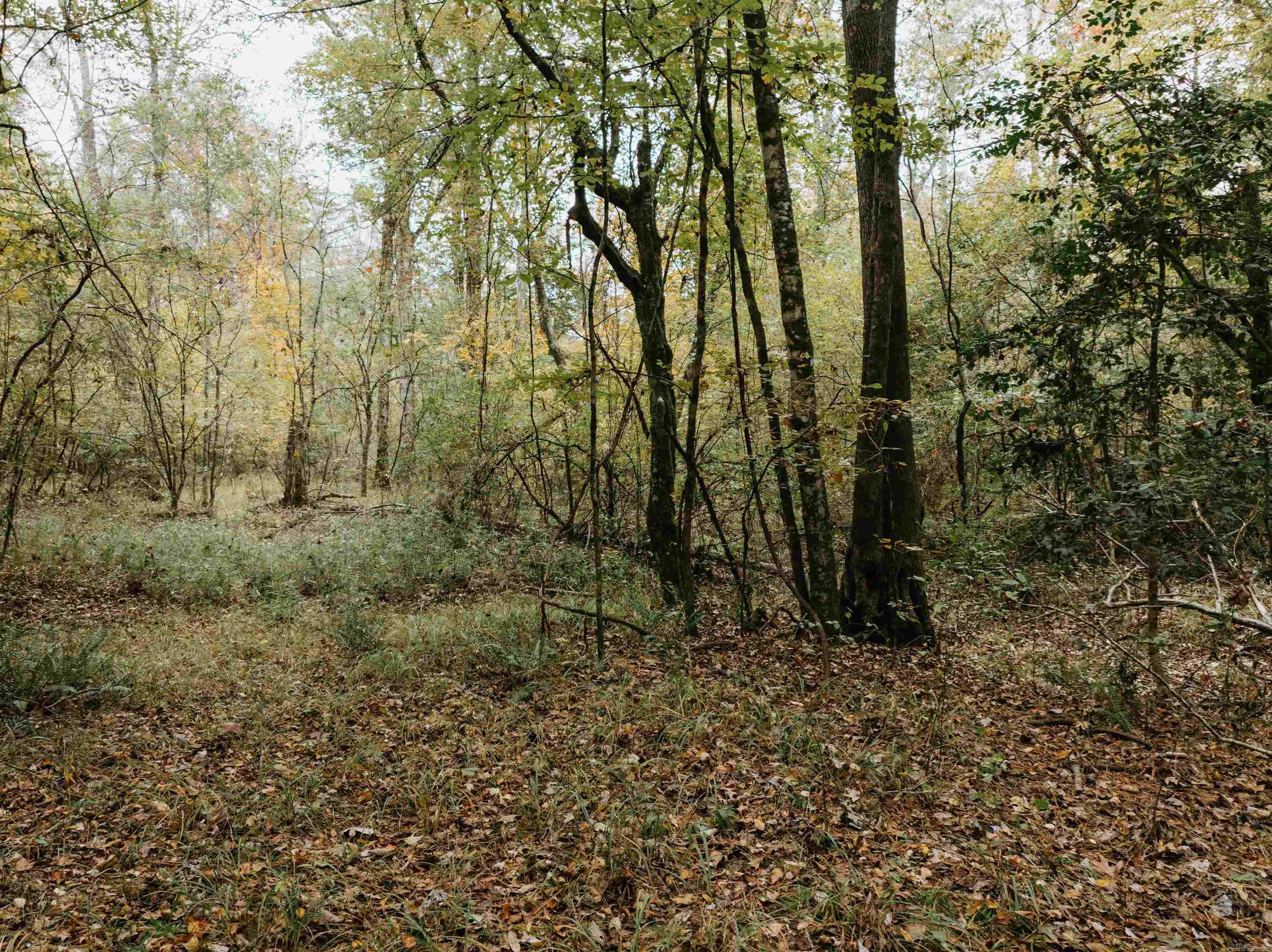 000 81 Road Property Photo 21