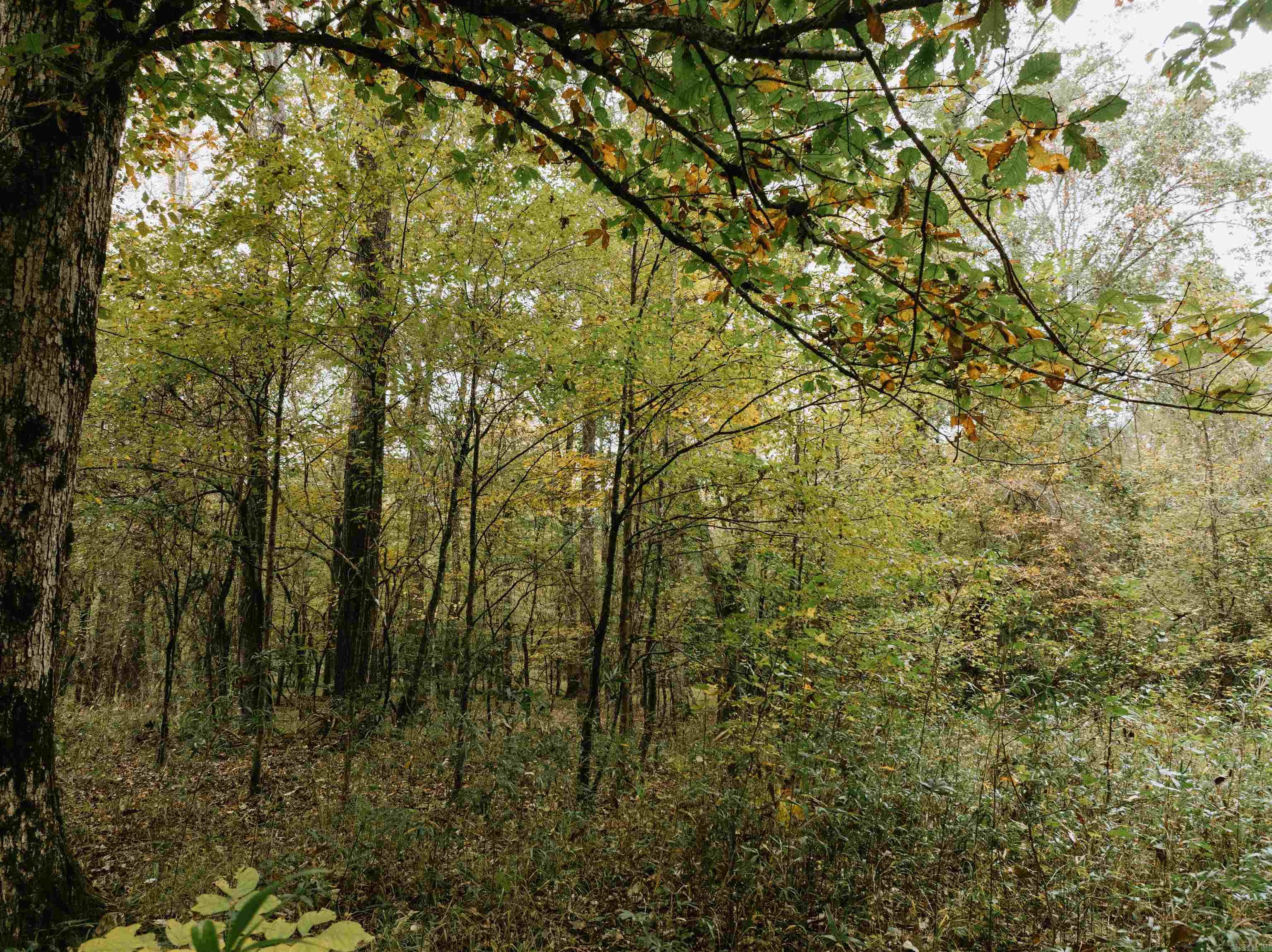 000 81 Road Property Photo 24