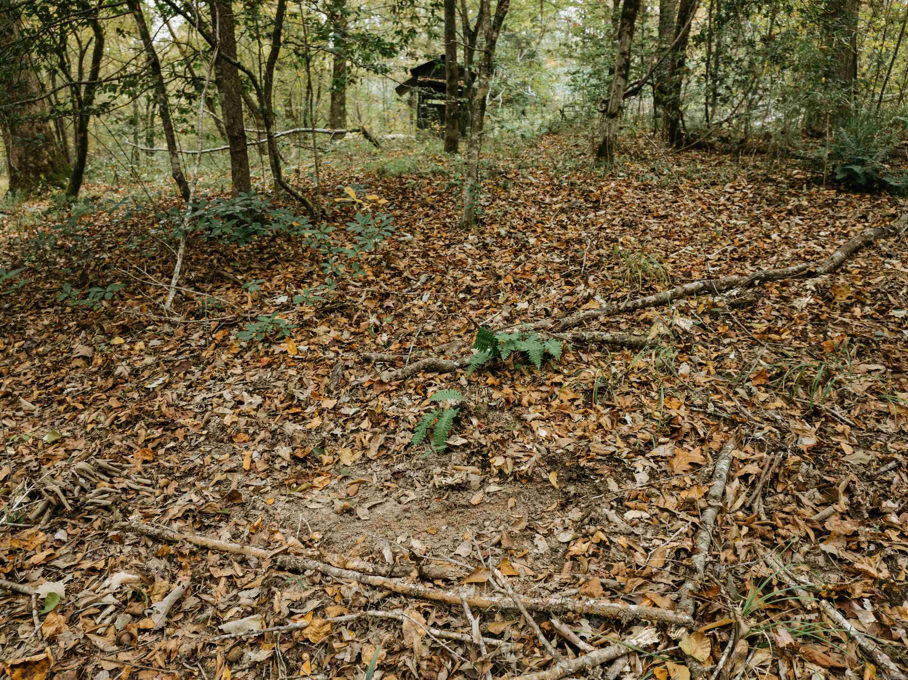 000 81 Road Property Photo 27