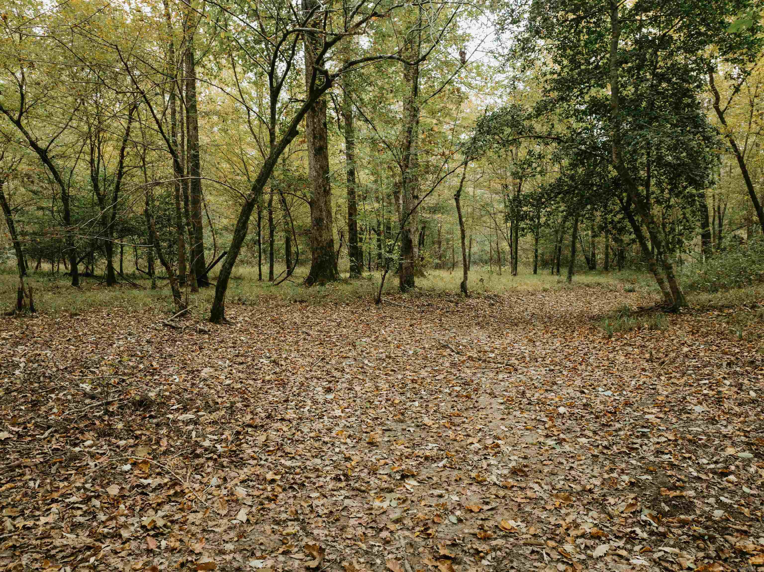 000 81 Road Property Photo 28