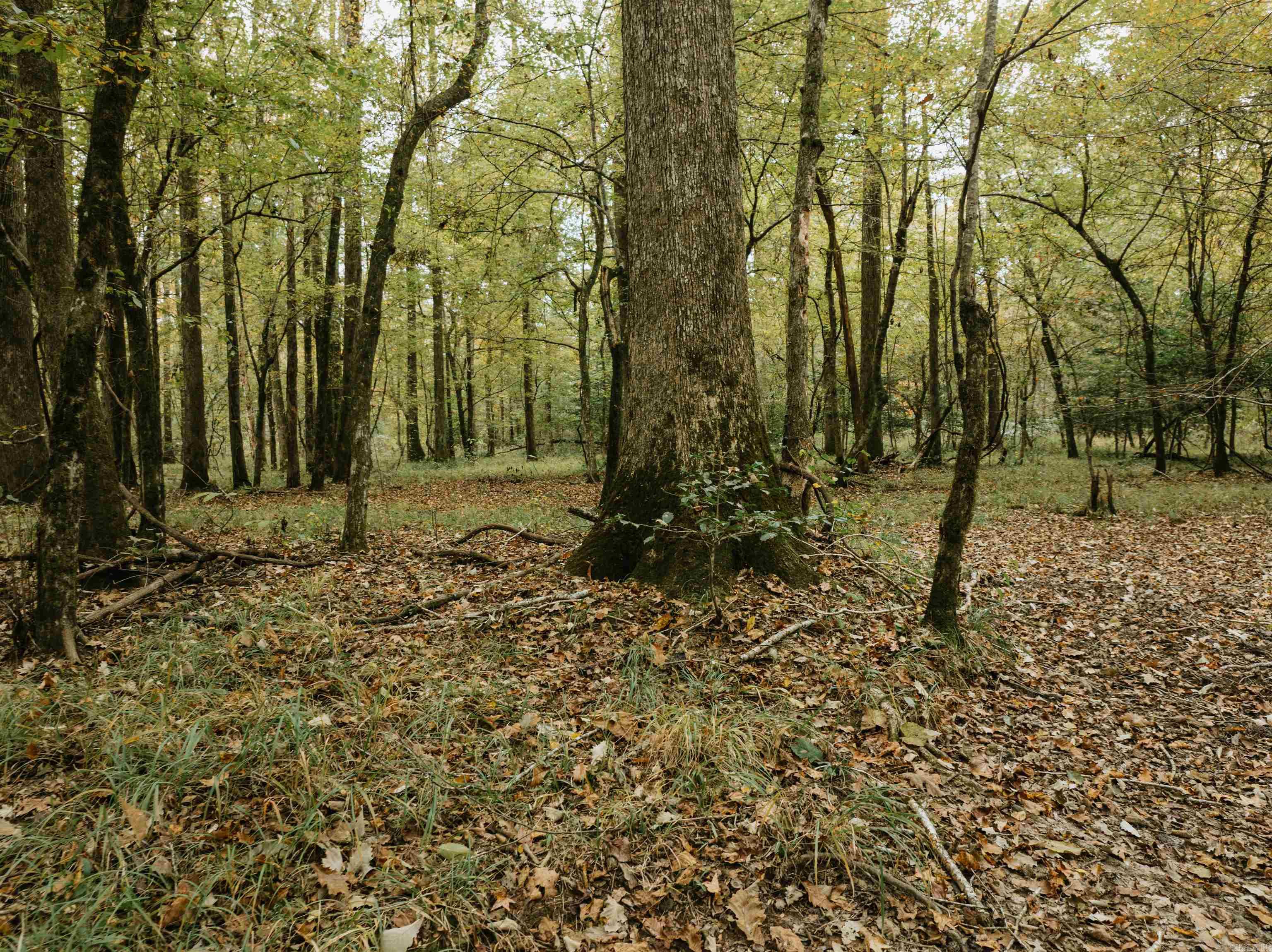 000 81 Road Property Photo 29