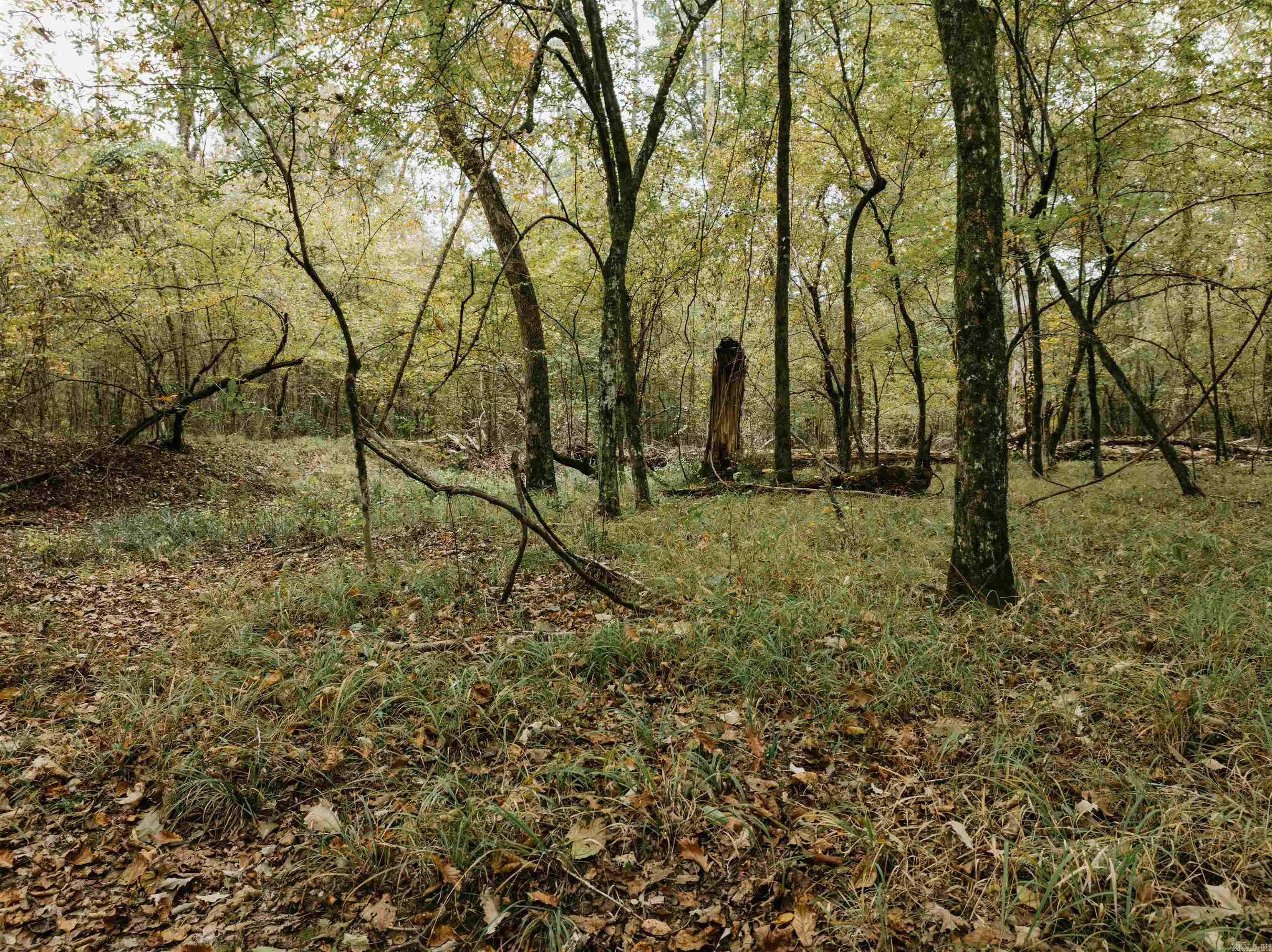 000 81 Road Property Photo 30