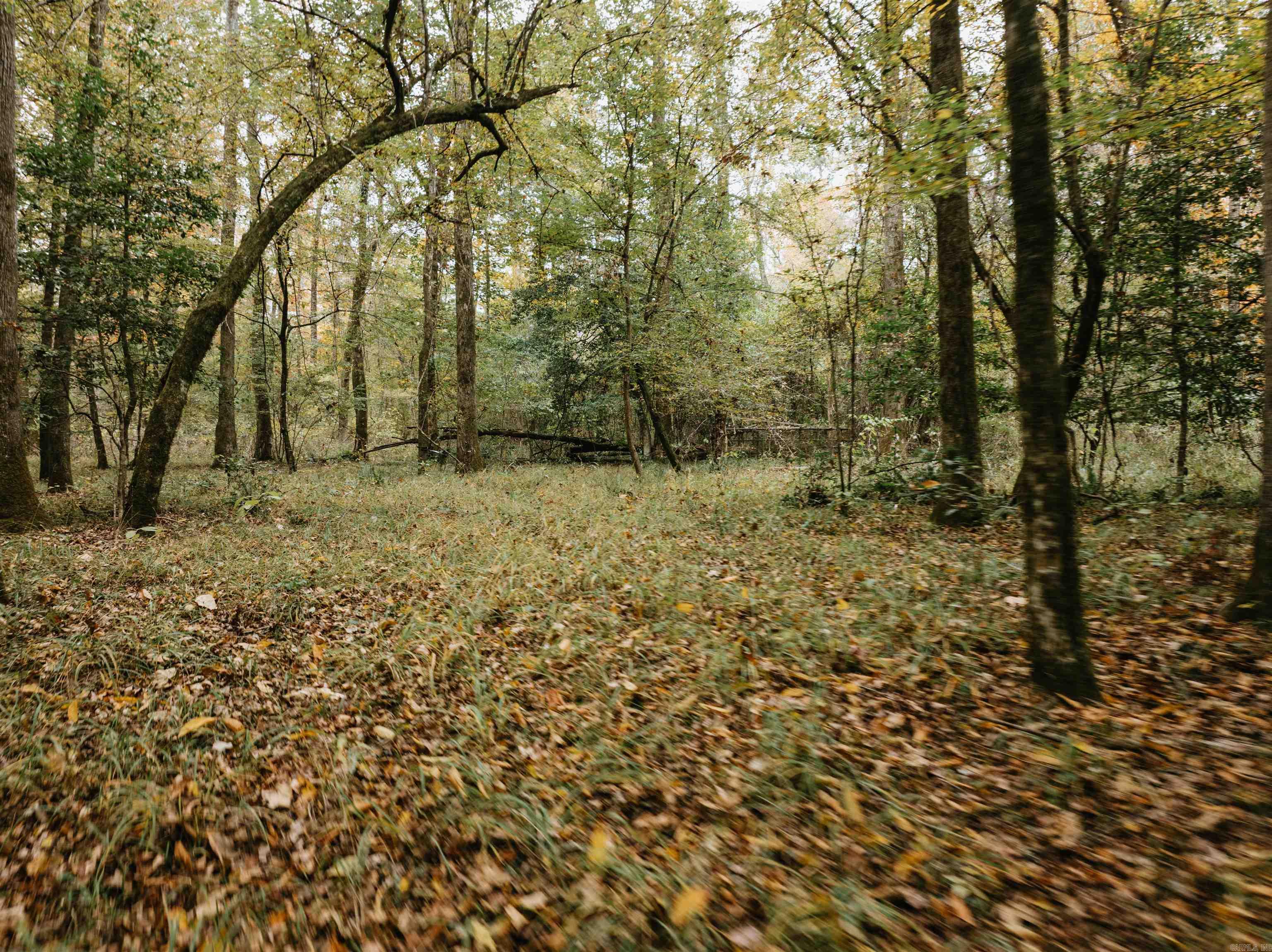 000 81 Road Property Photo 31