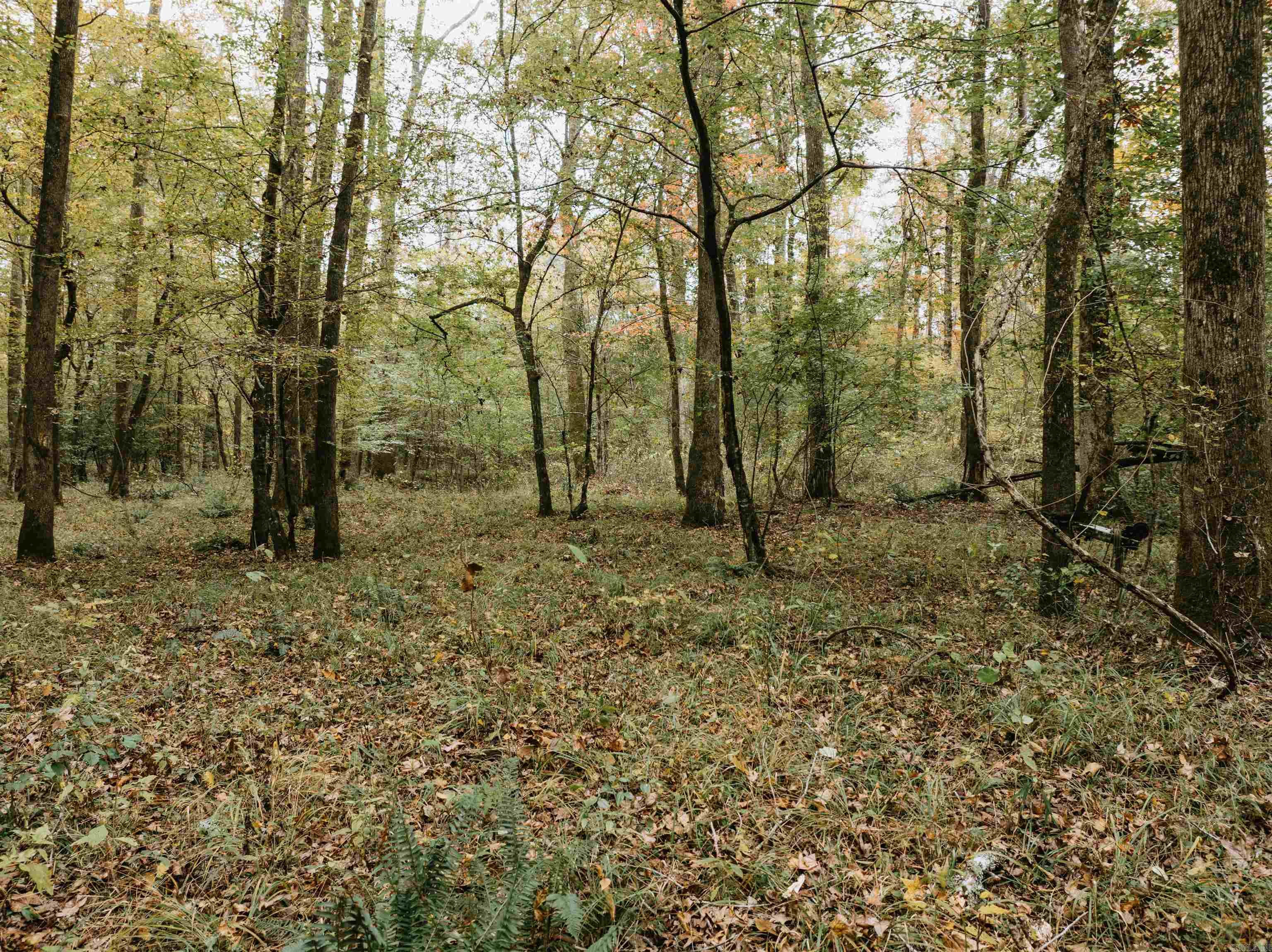 000 81 Road Property Photo 32