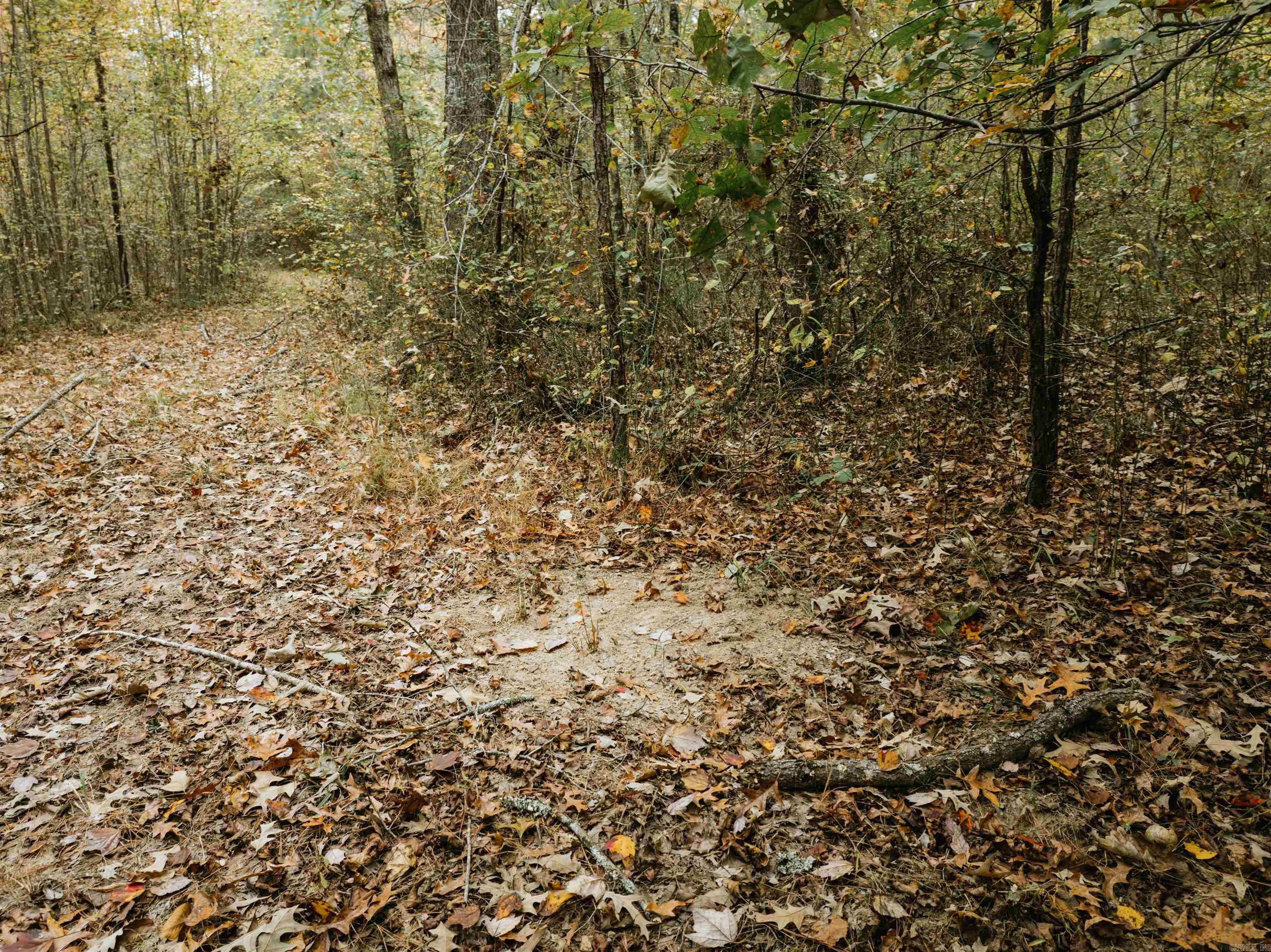 000 81 Road Property Photo 33