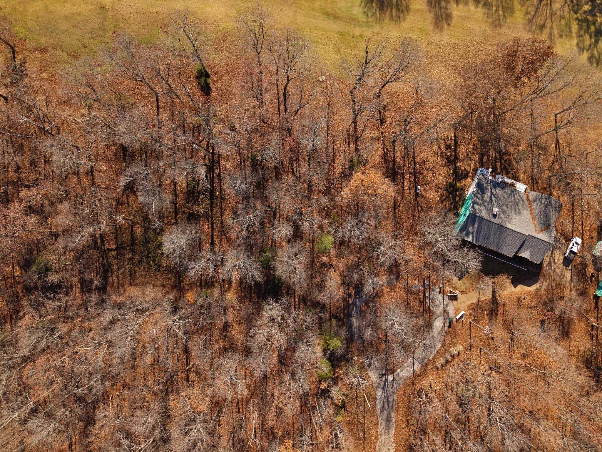 Tahlasi Trail Property Photo 6