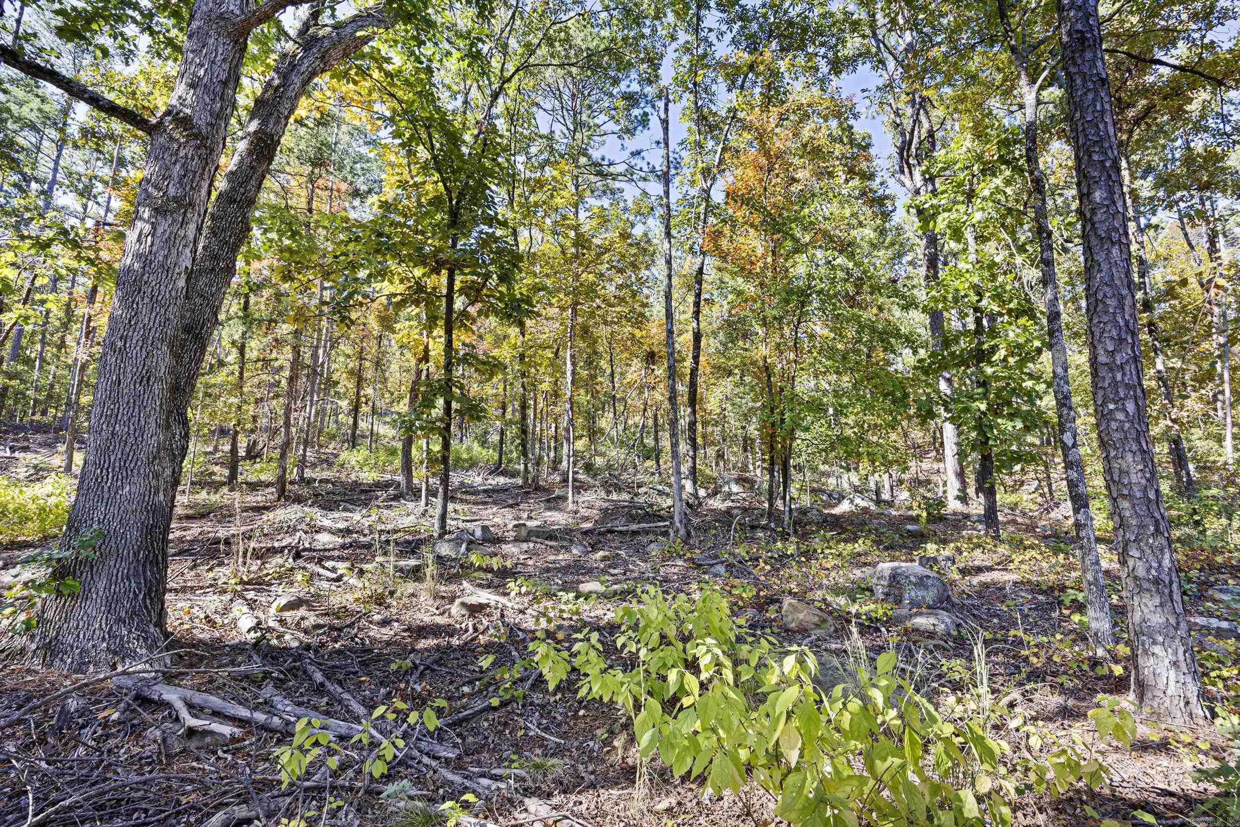 Ar 155 Property Photo 8
