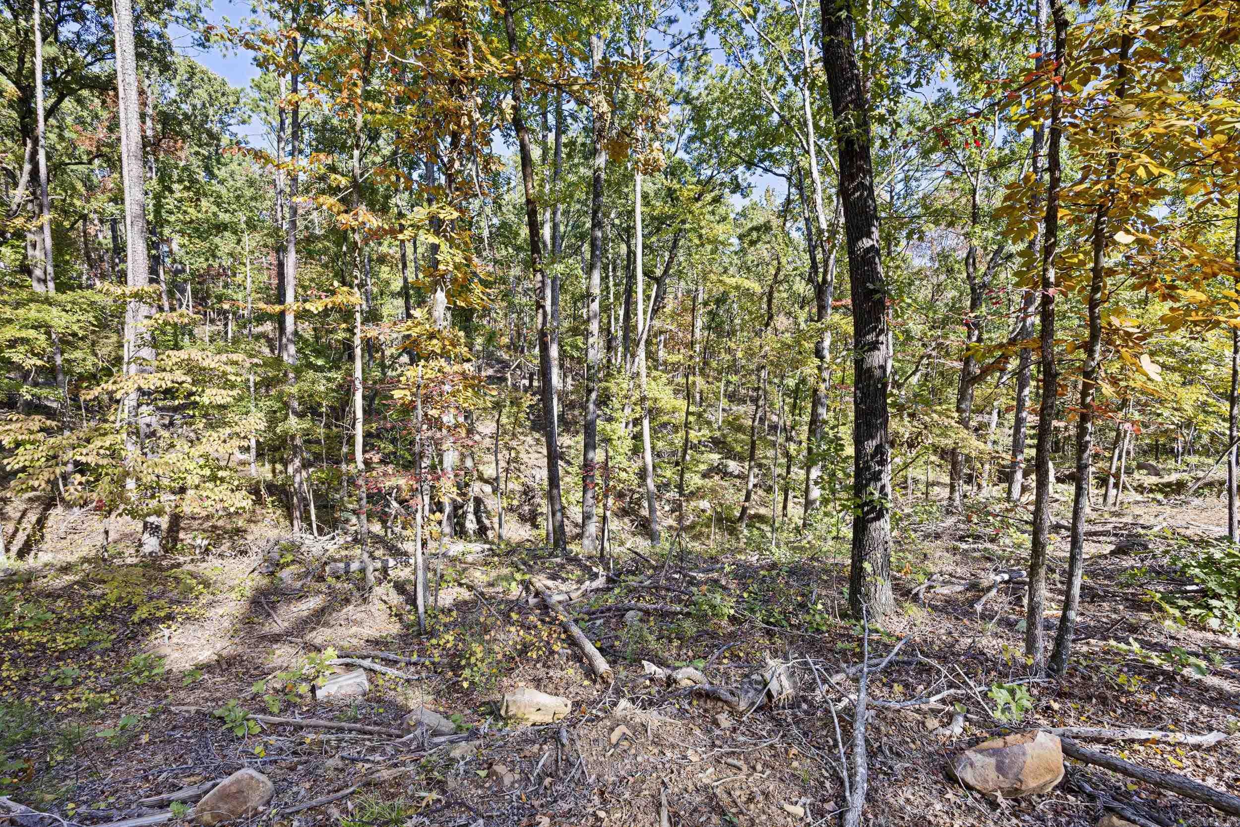 Ar 155 Property Photo 12