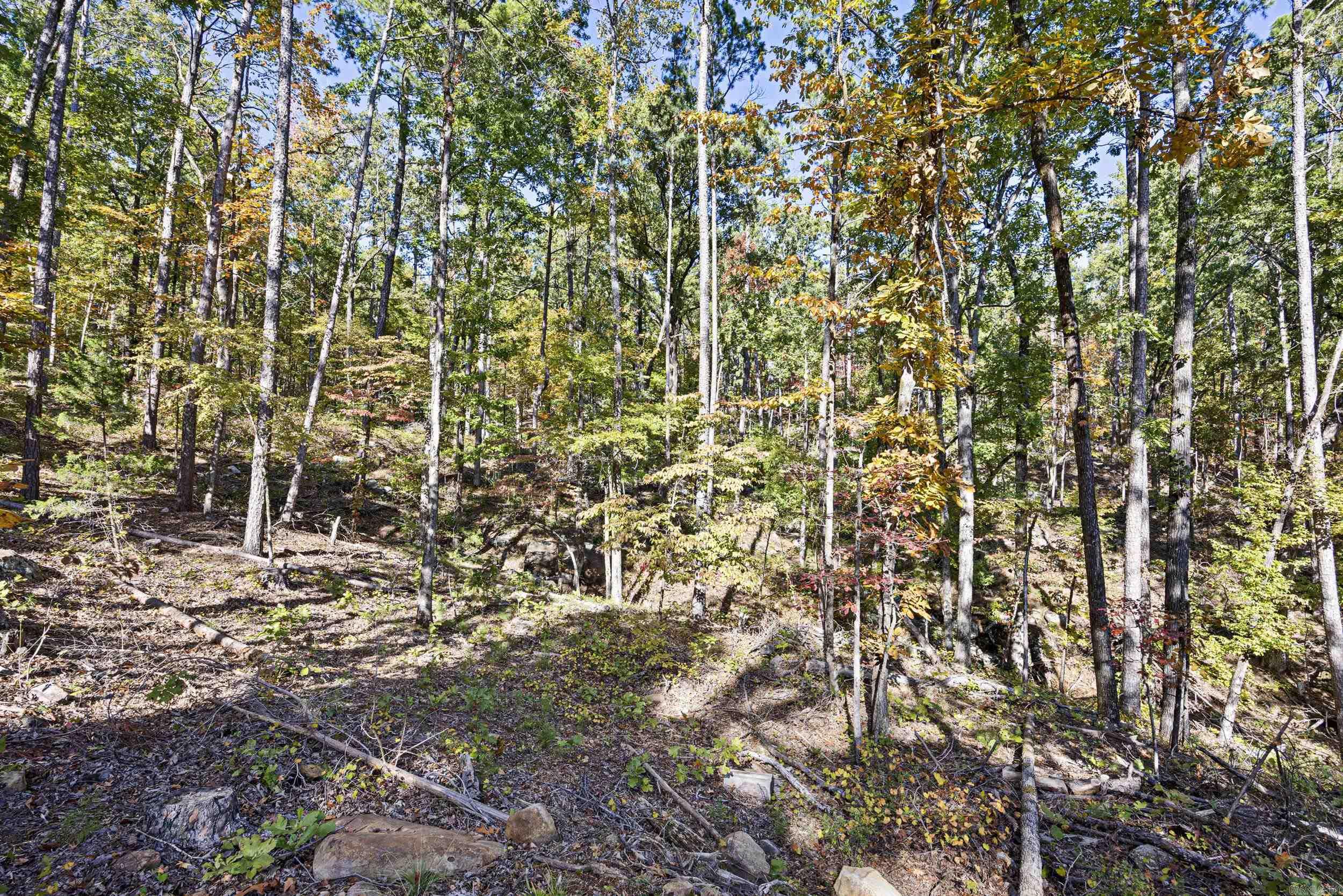 Ar 155 Property Photo 13