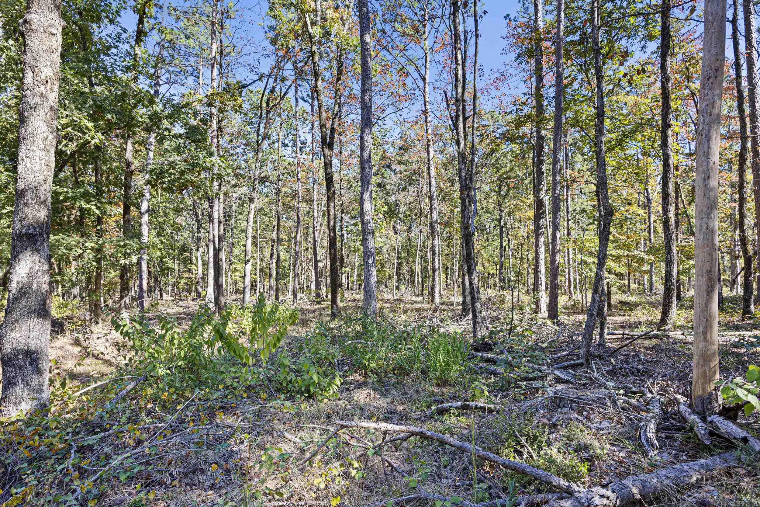 Ar 155 Property Photo 17