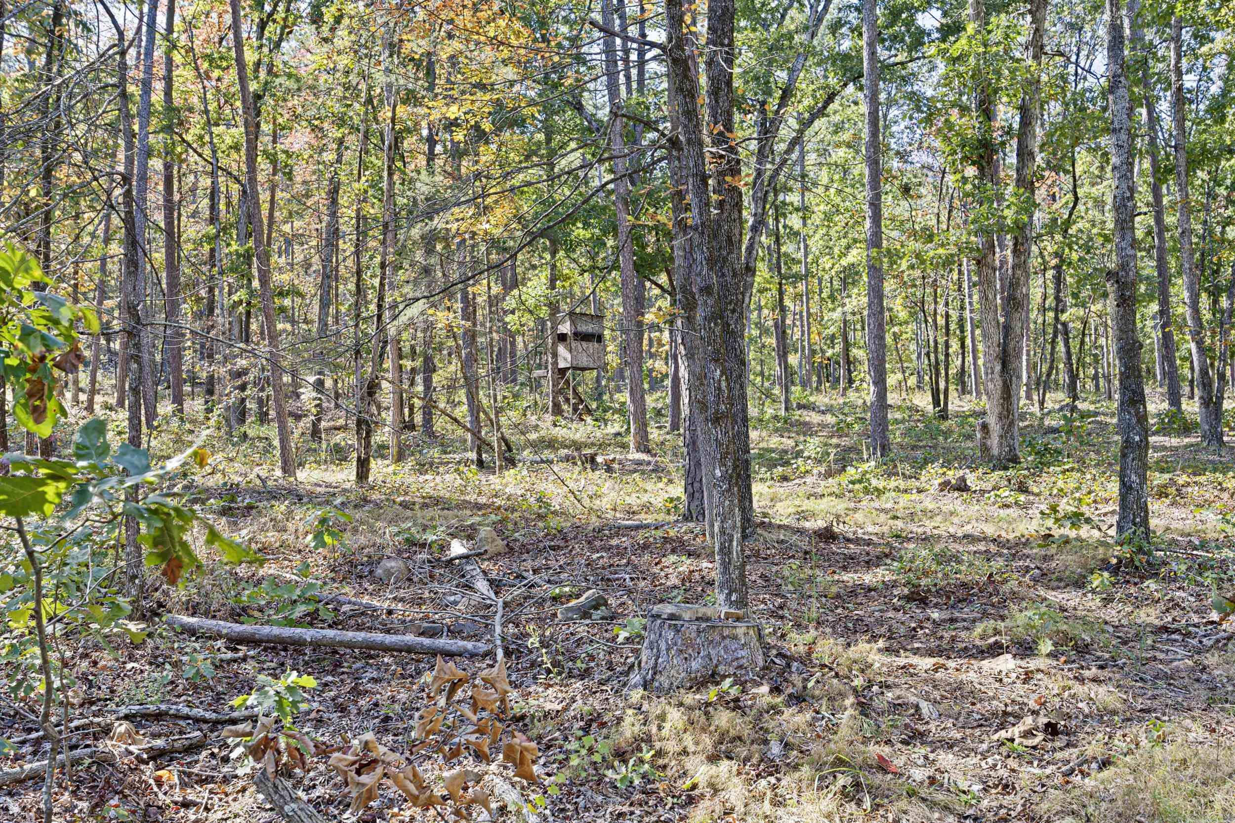 Ar 155 Property Photo 18