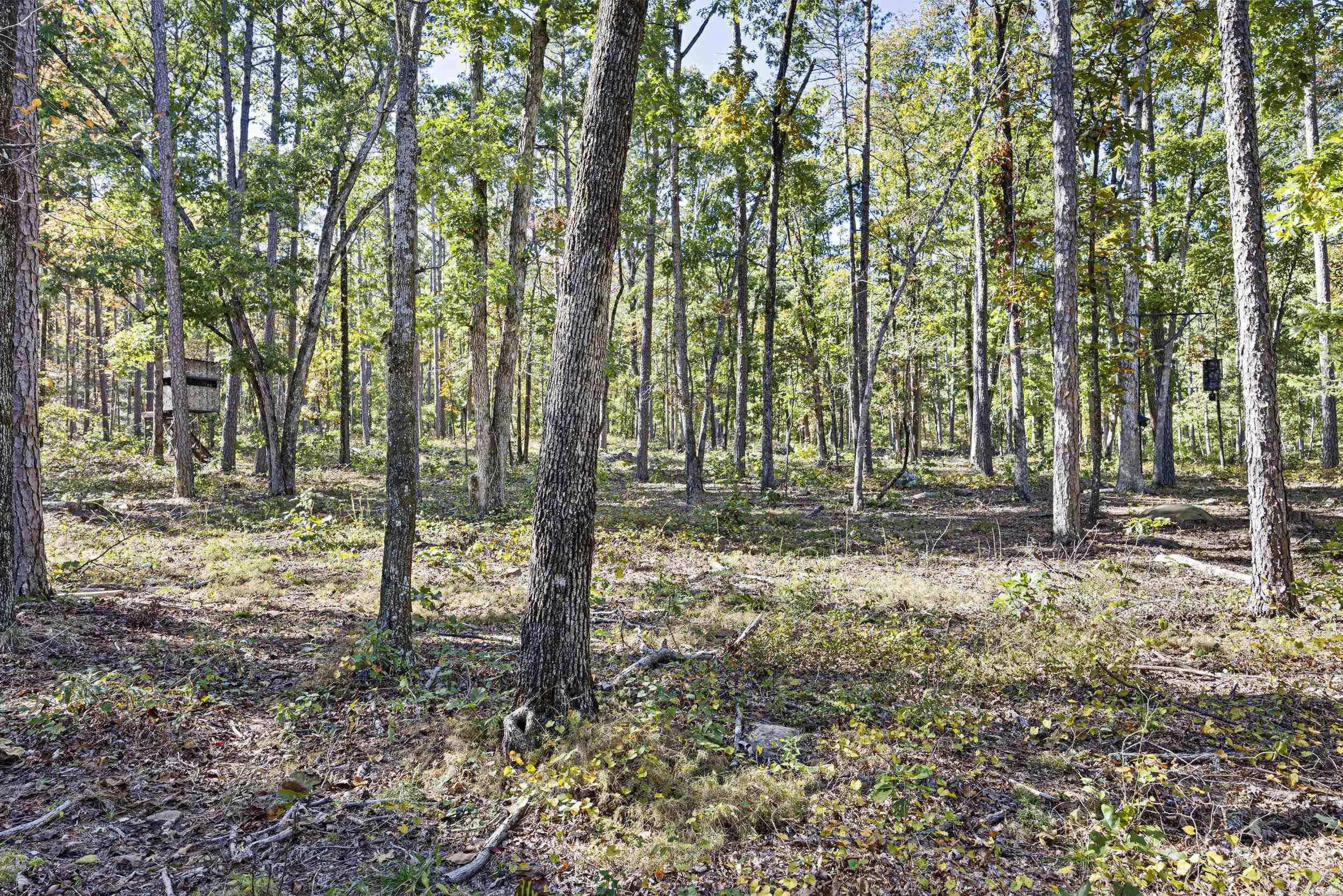 Ar 155 Property Photo 19