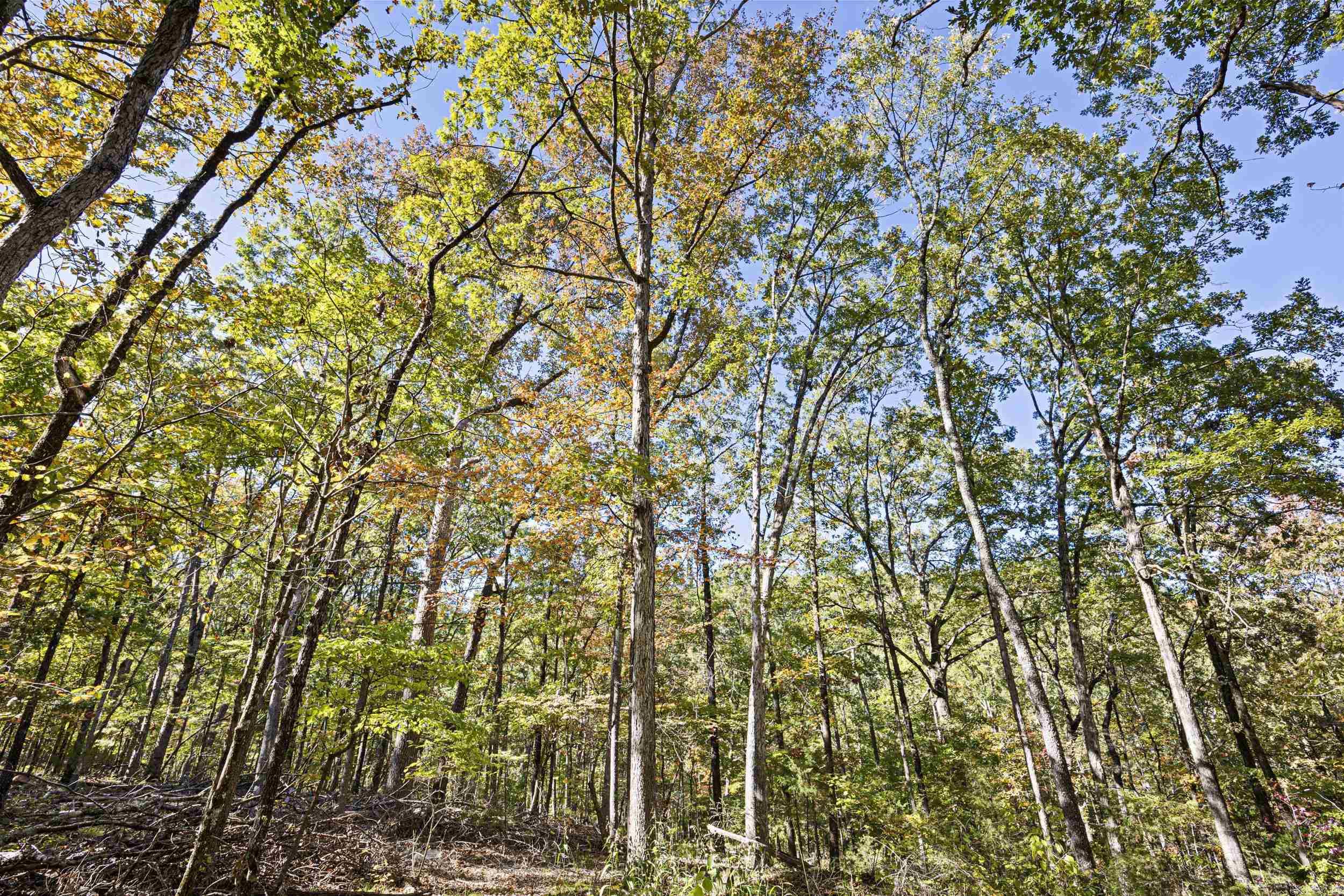 Ar 155 Property Photo 22