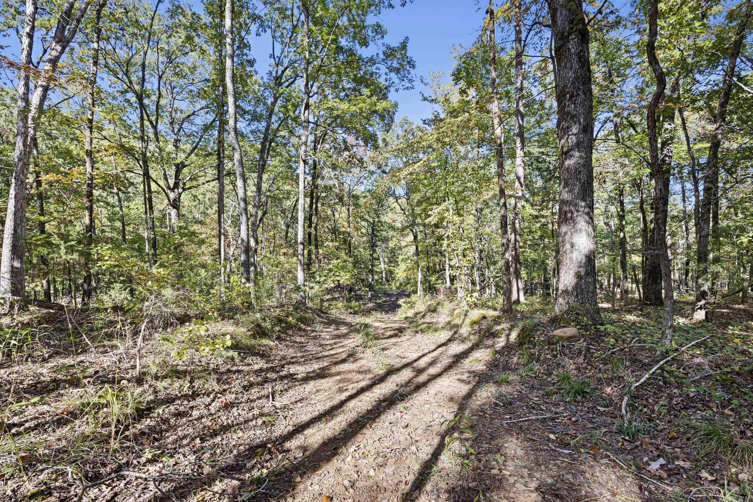 Ar 155 Property Photo 23