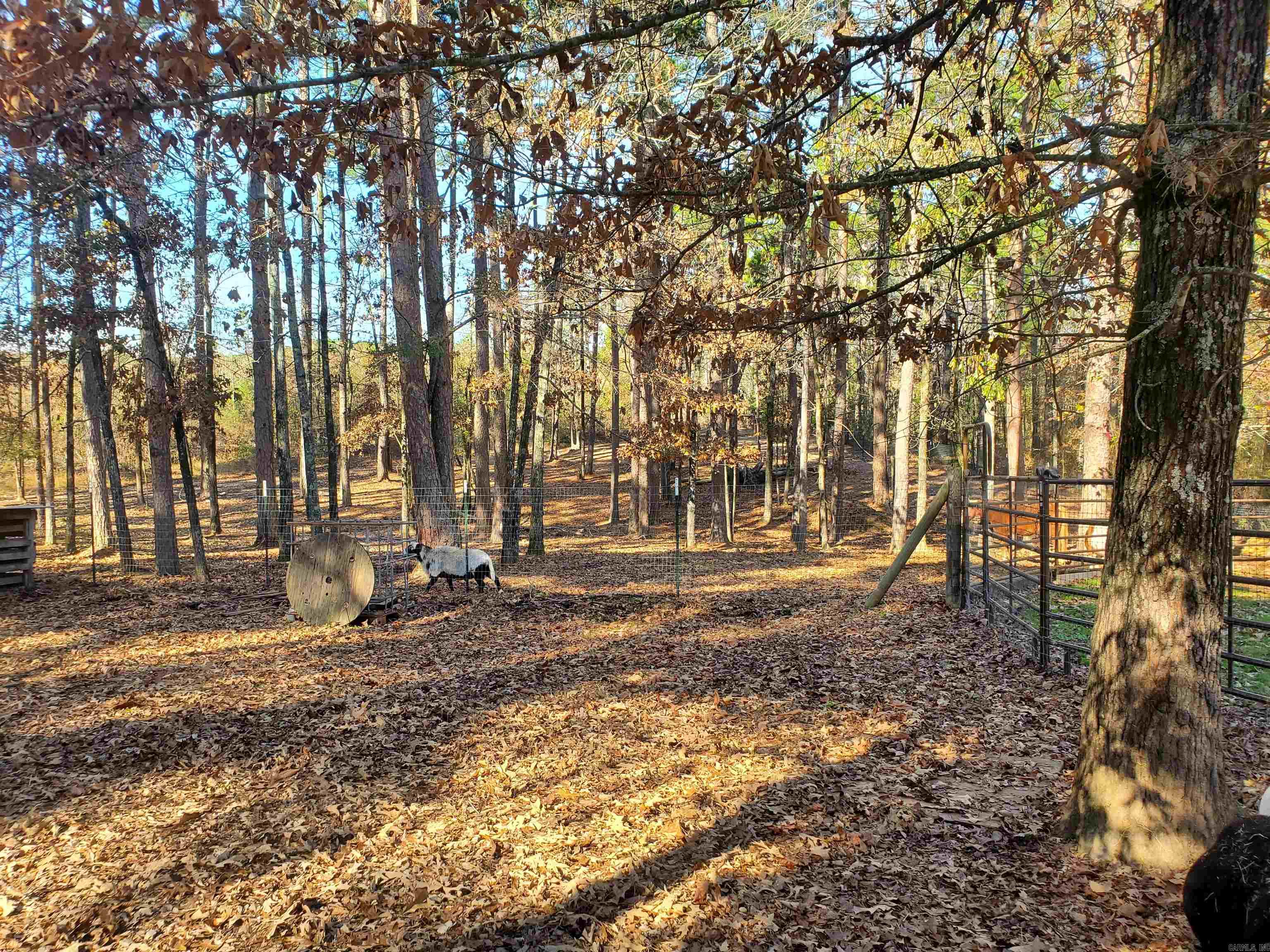 19 Bradshaw Lane Property Photo 41