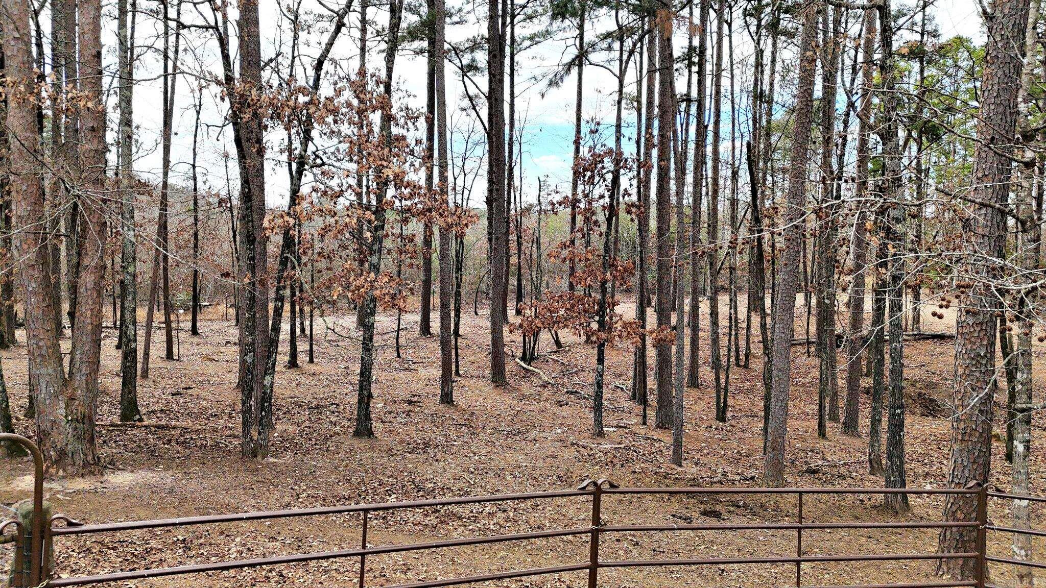 19 Bradshaw Lane Property Photo 47