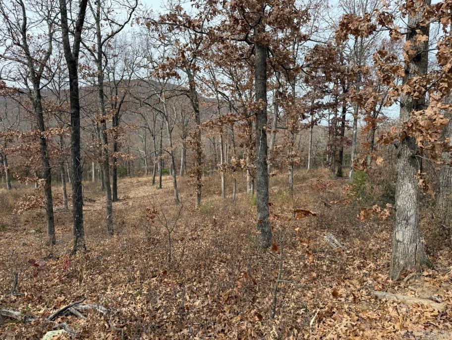 Lot 65 Restore Ridge Property Photo 8