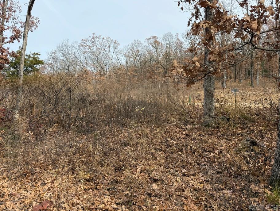 Lot 65 Restore Ridge Property Photo 9