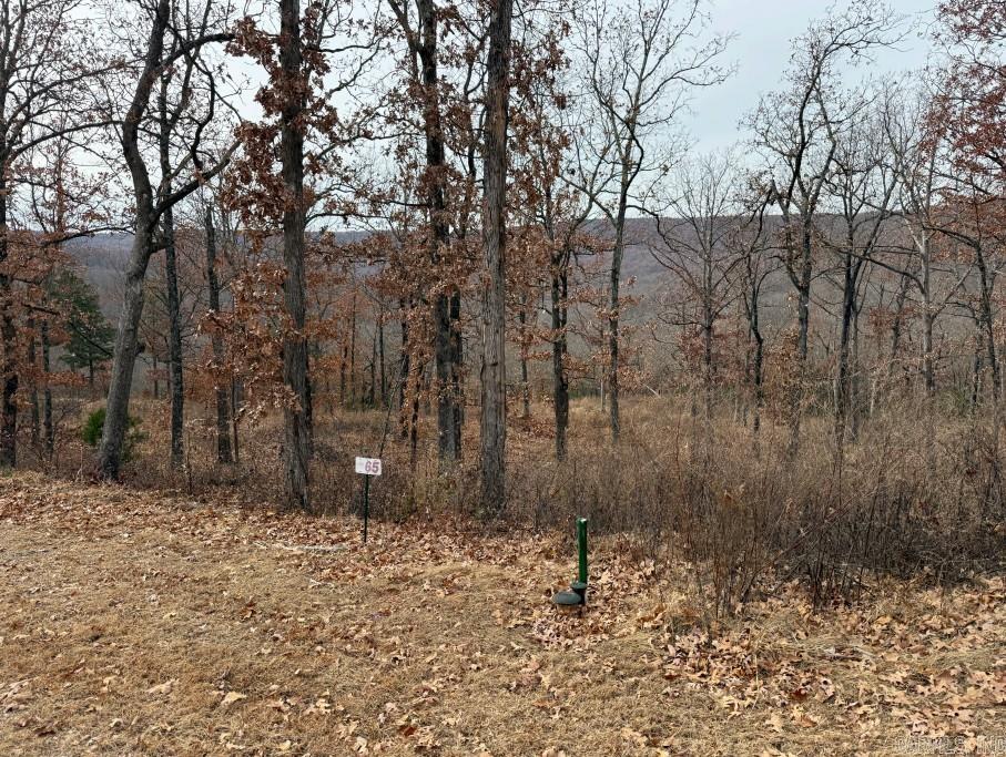 Lot 65 Restore Ridge Property Photo 10
