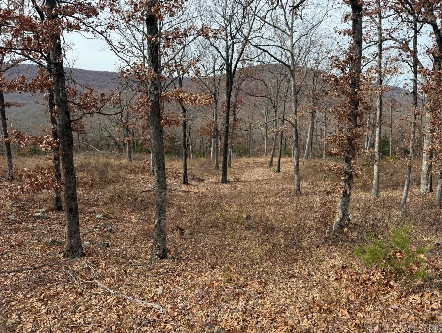 Lot 65 Restore Ridge Property Photo 11