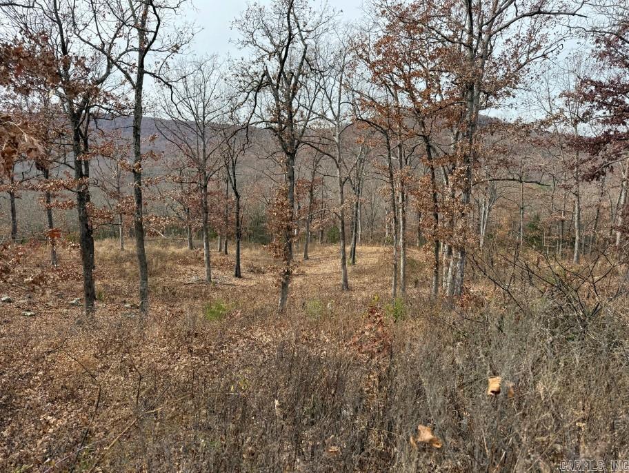 Lot 65 Restore Ridge Property Photo 12