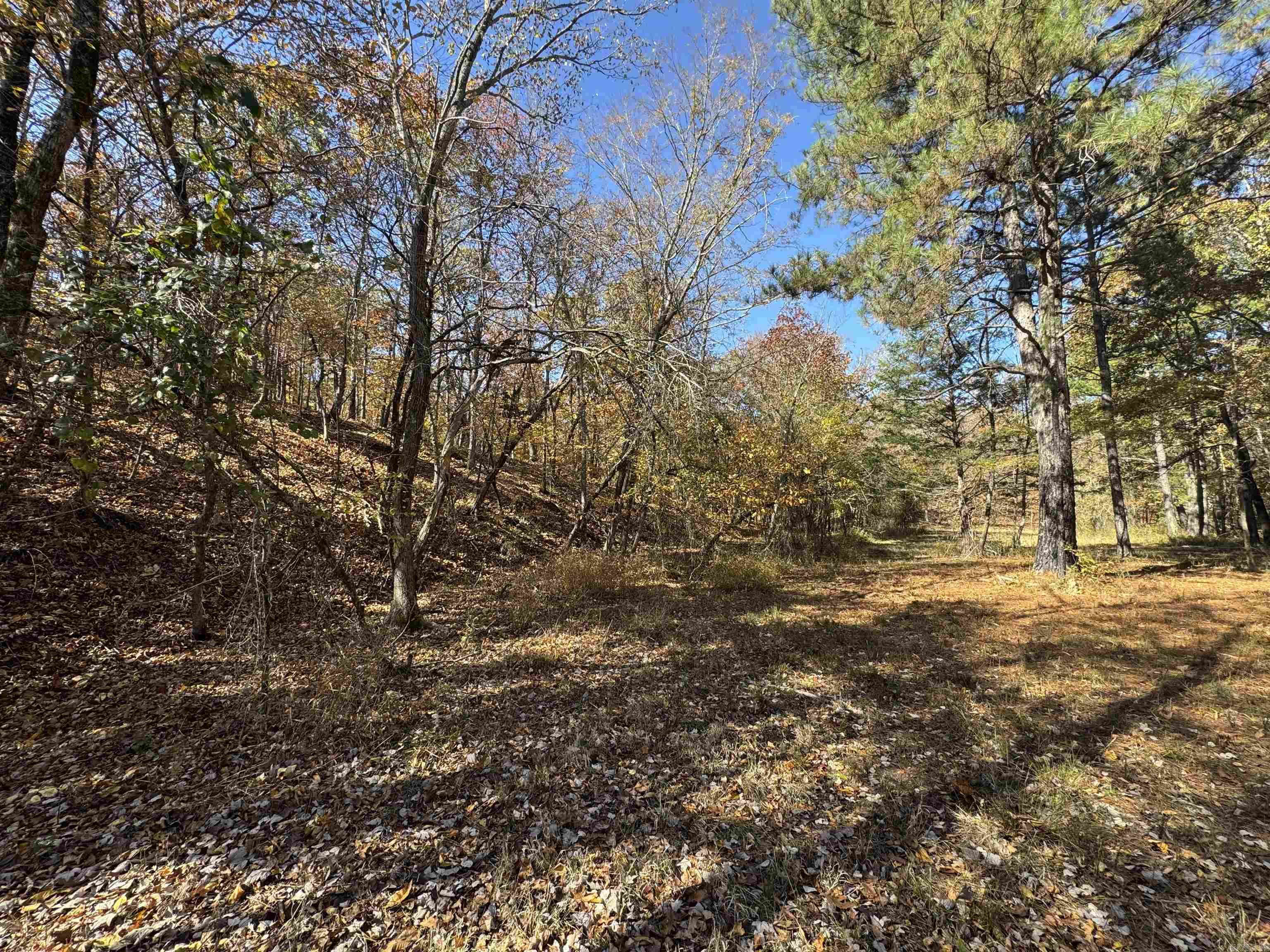 W Main Haul Property Photo 17