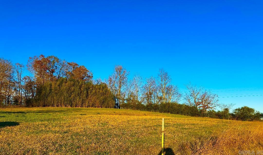 Xxx Hwy 84 Property Photo 24