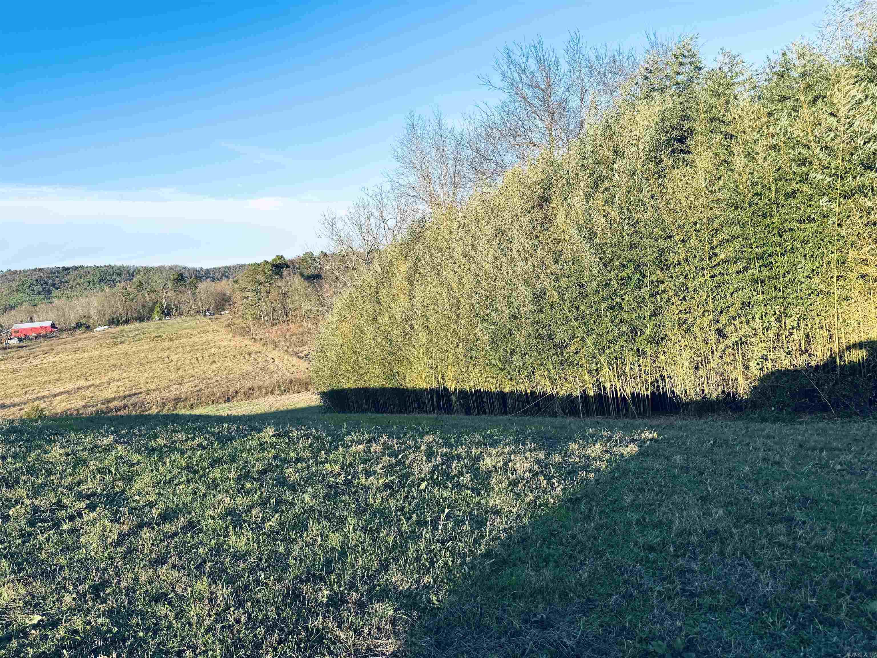 Xxx Hwy 84 Property Photo 36