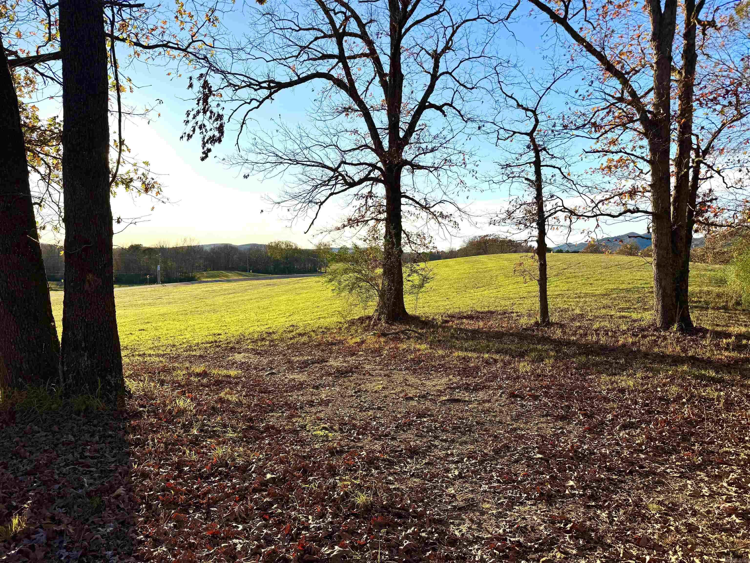 Xxx Hwy 84 Property Photo 37