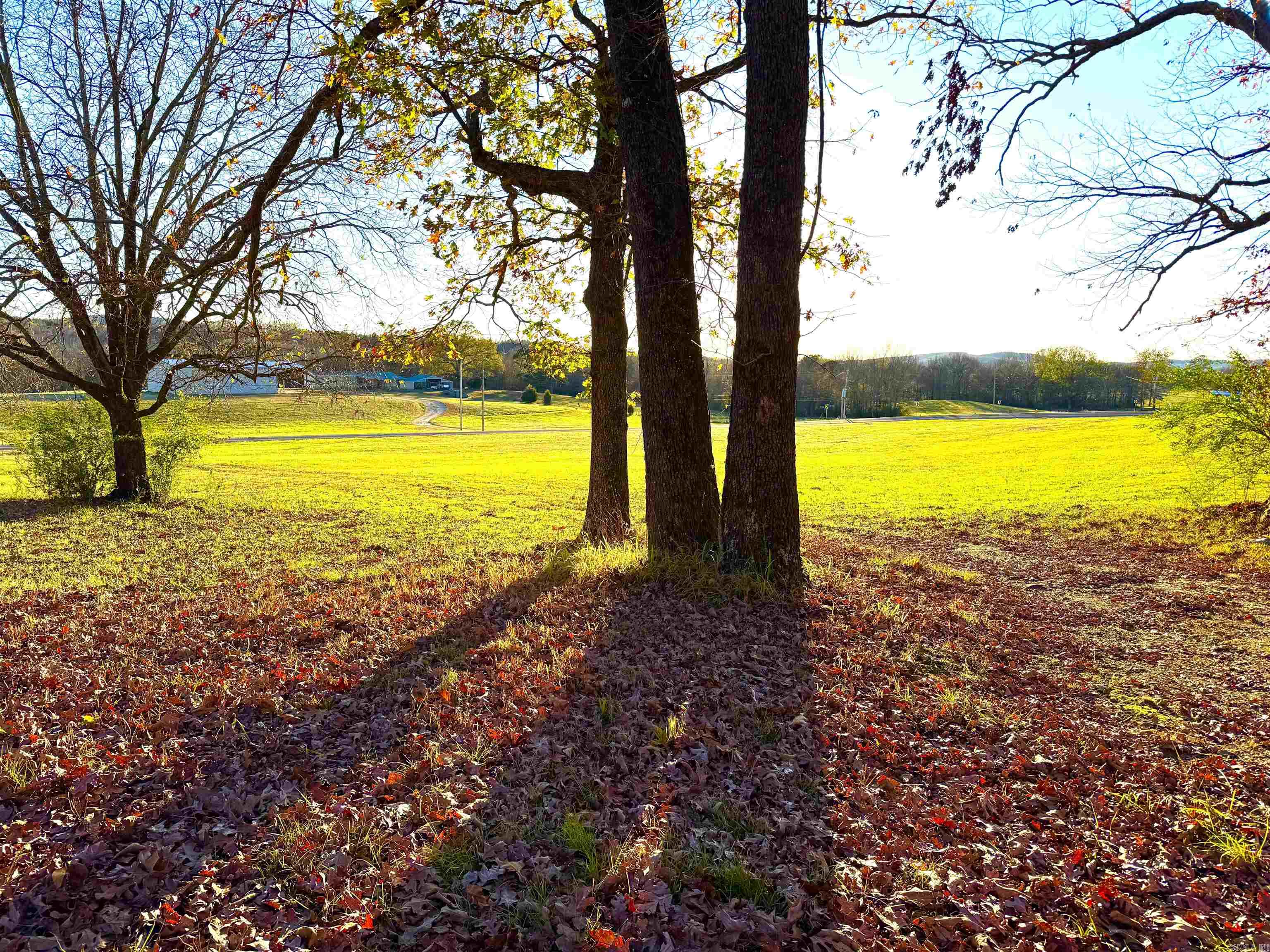 Xxx Hwy 84 Property Photo 39
