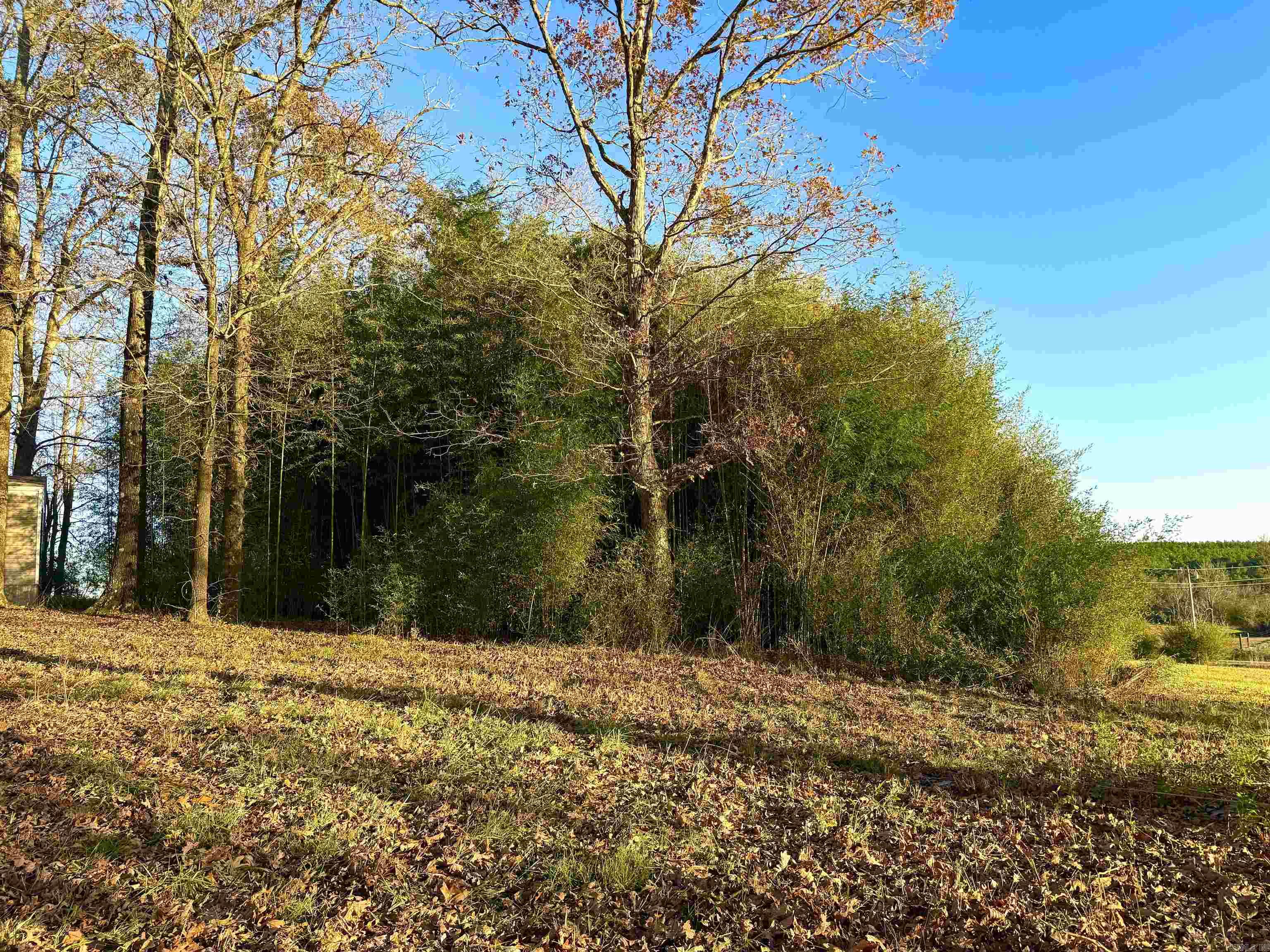 Xxx Hwy 84 Property Photo 40