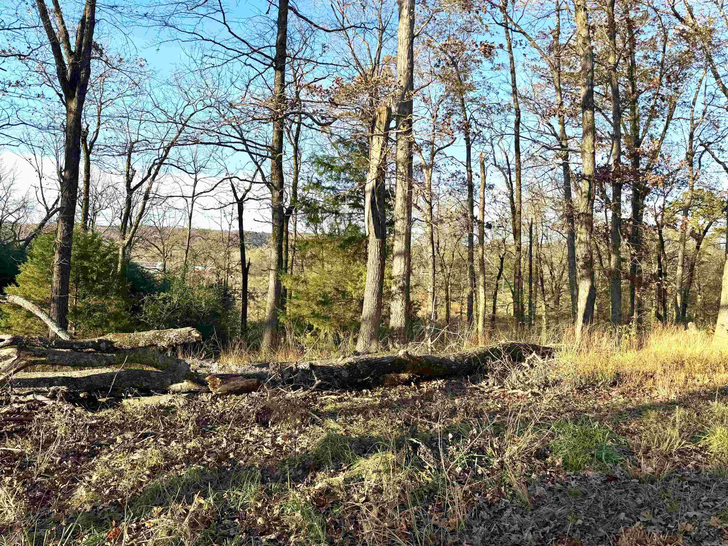 Xxx Hwy 84 Property Photo 41