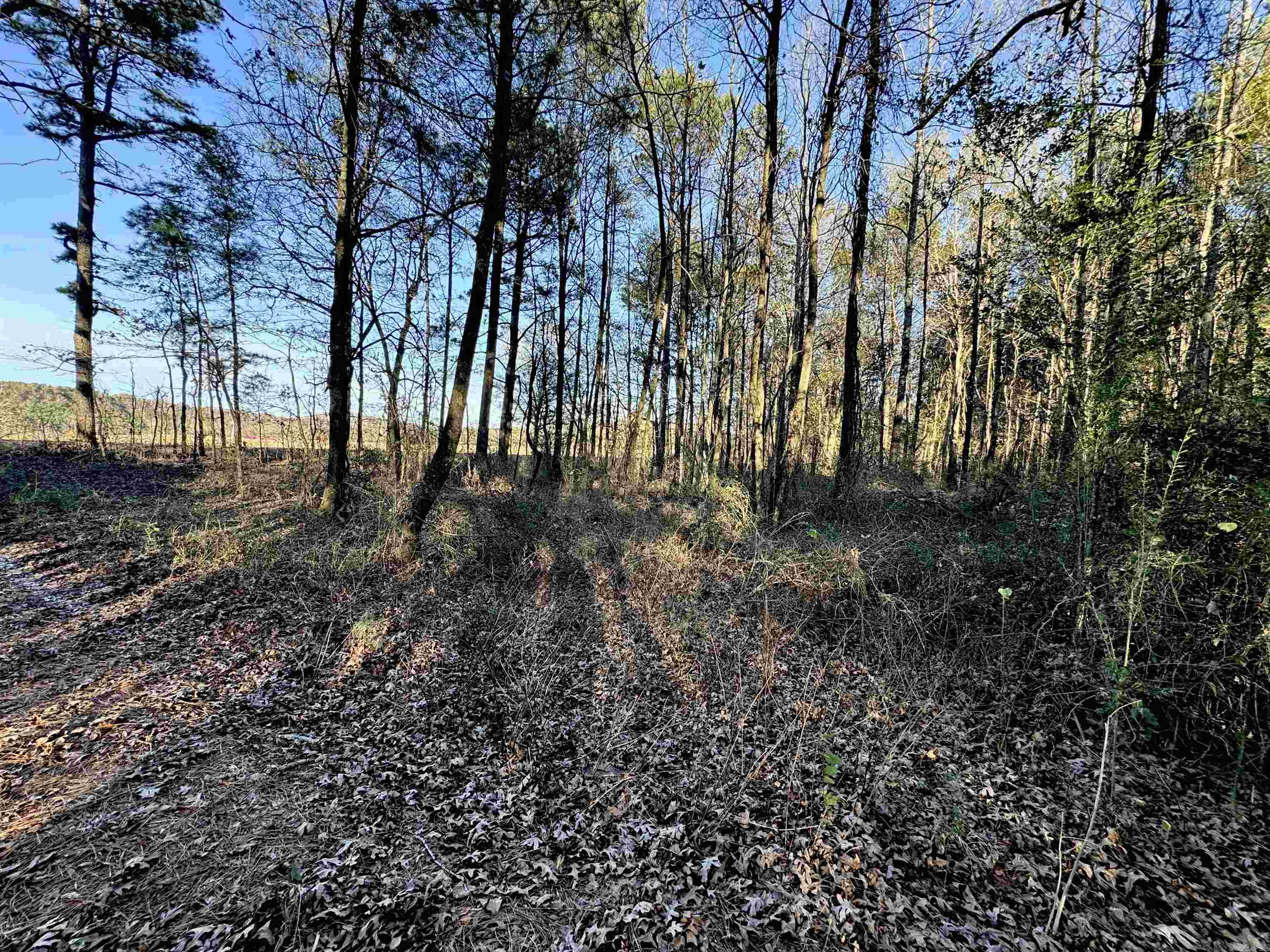 Xxx Hwy 84 Property Photo 42
